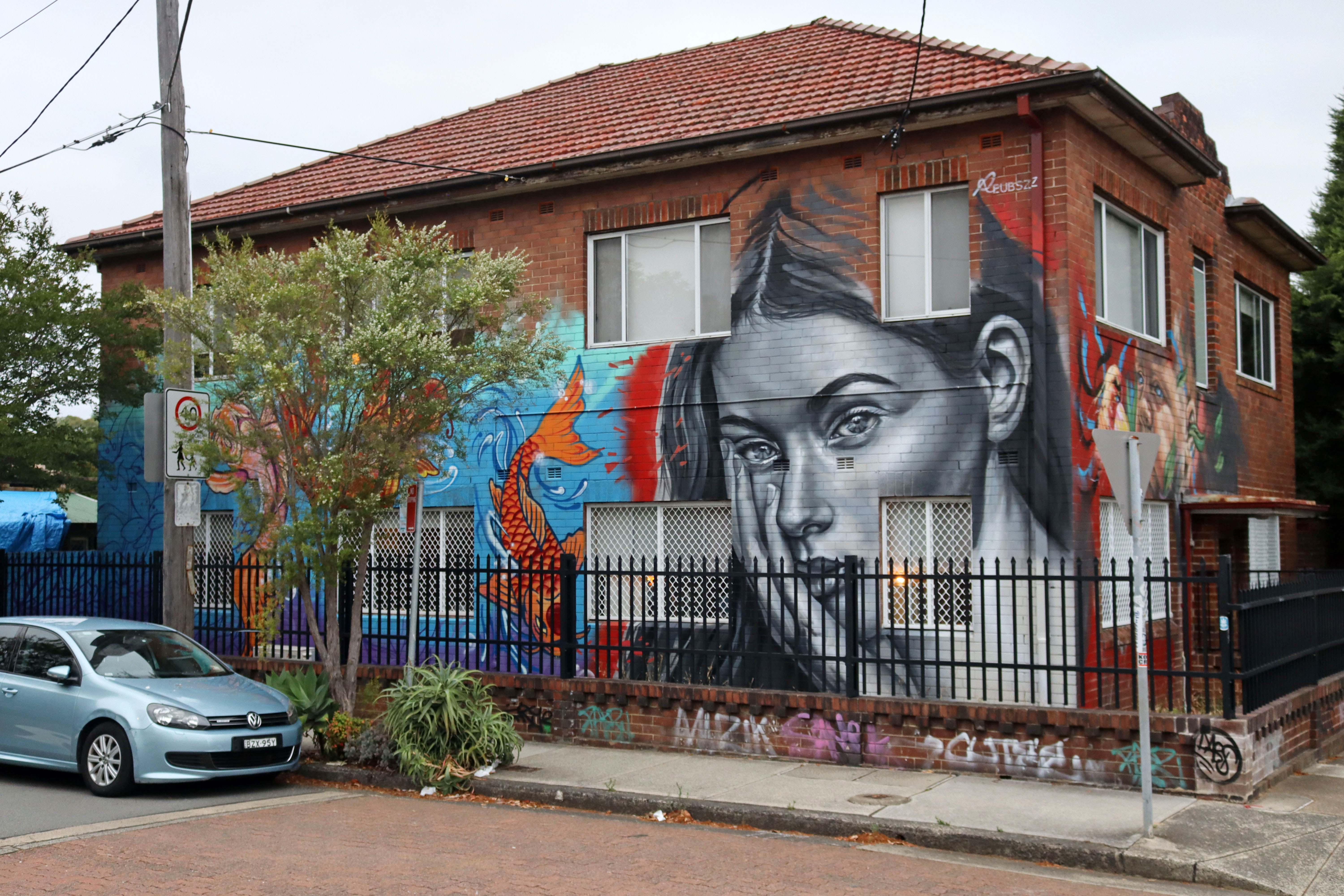 Untitled by Reubszz | Street Art NSW