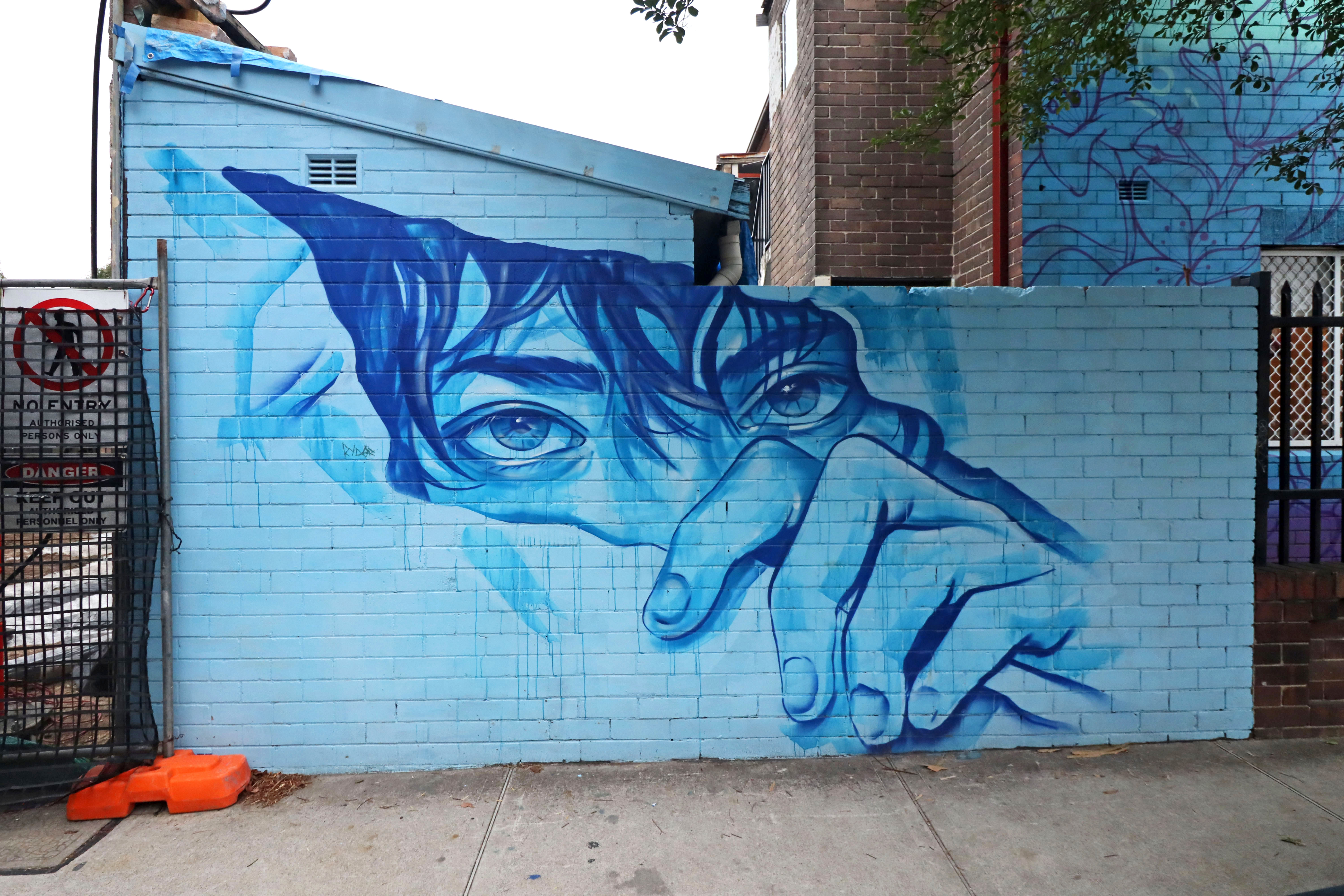 Untitled by Reubszz | Street Art NSW