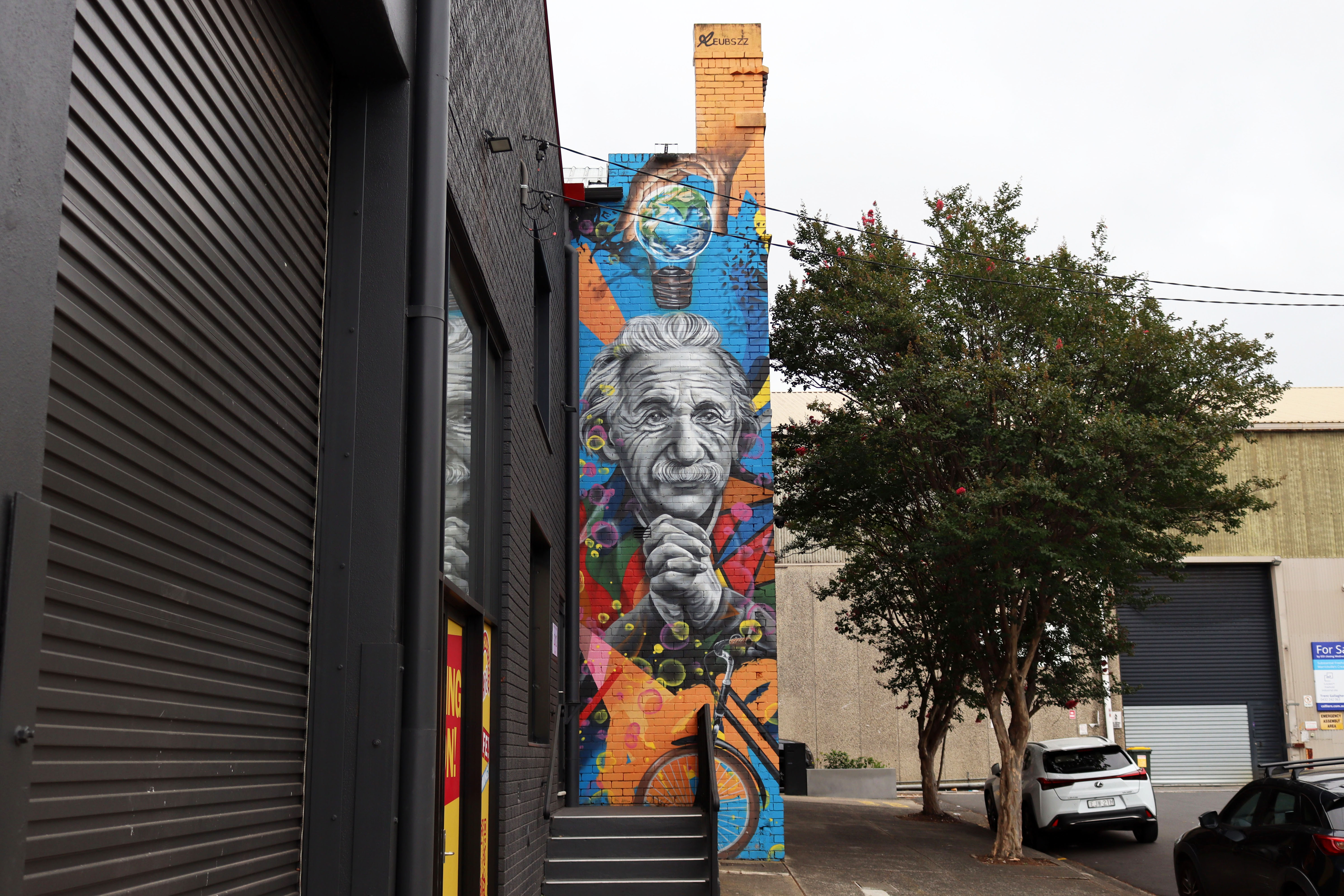 Einstein by Reubszz | Street Art NSW