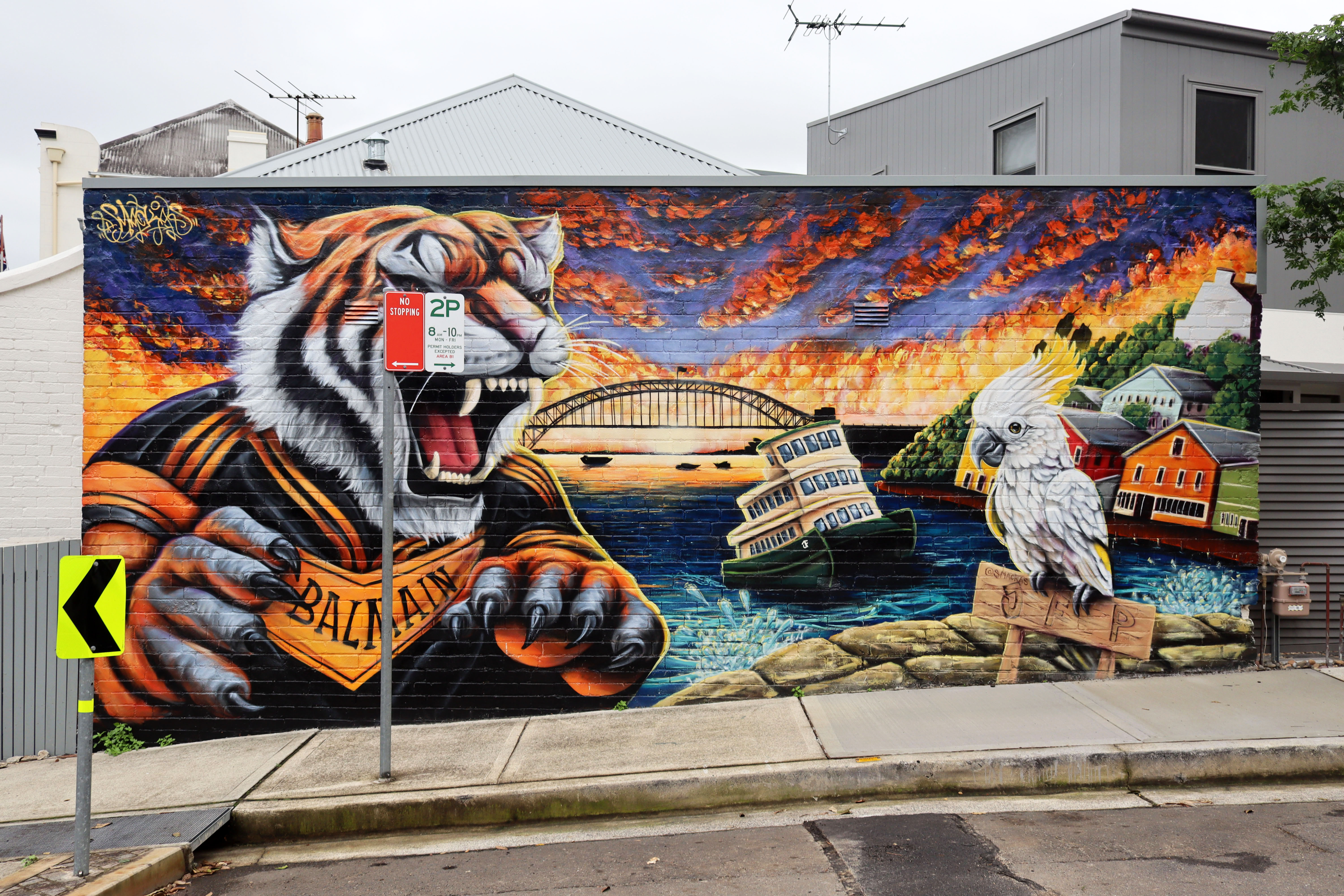 Tiger Town by Smackas | Street Art NSW