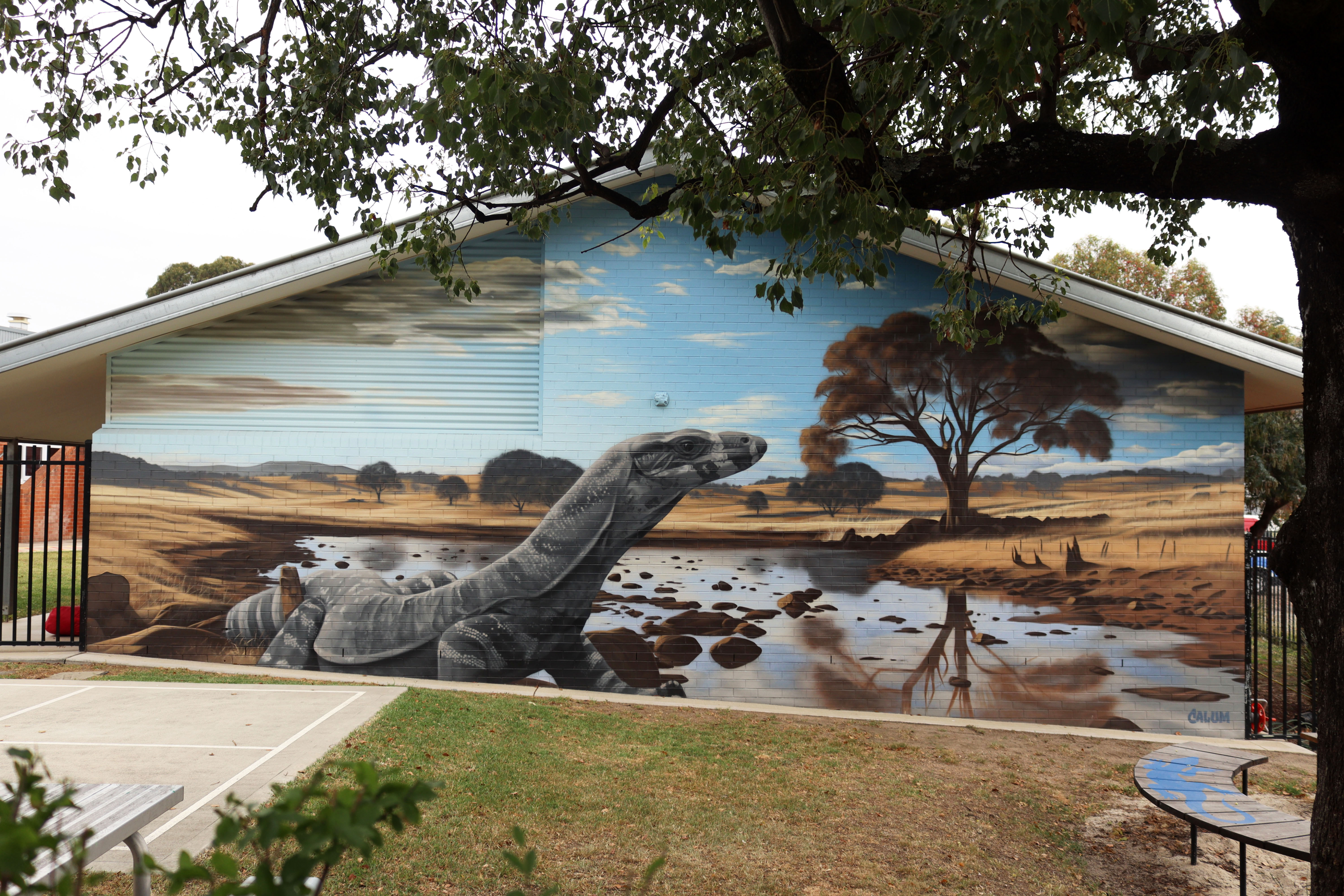 Goanna by Calum Hotham | Street Art NSW