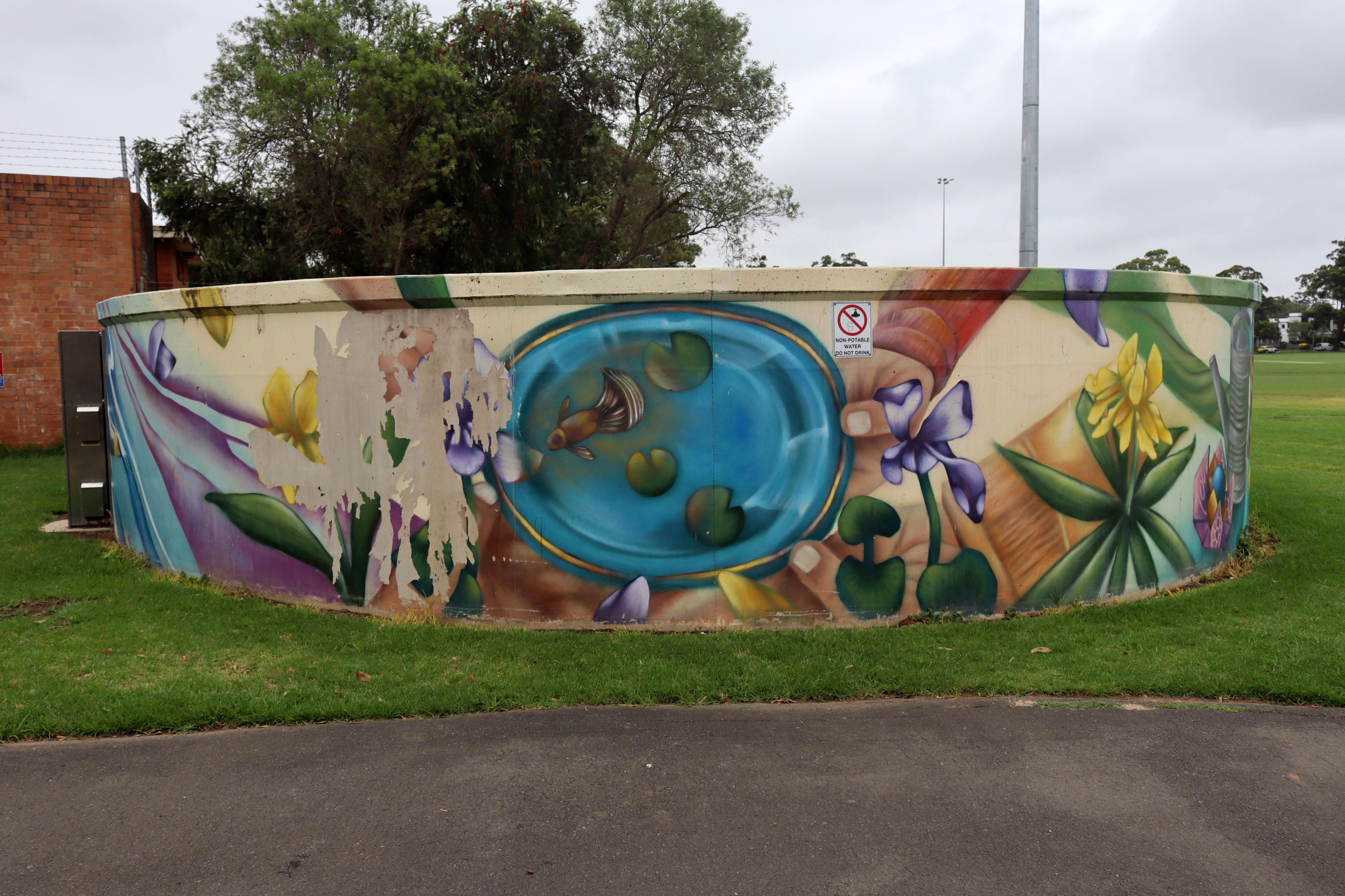 CrossCurrents: Stories of Water by Stynabyna | Street Art NSW
