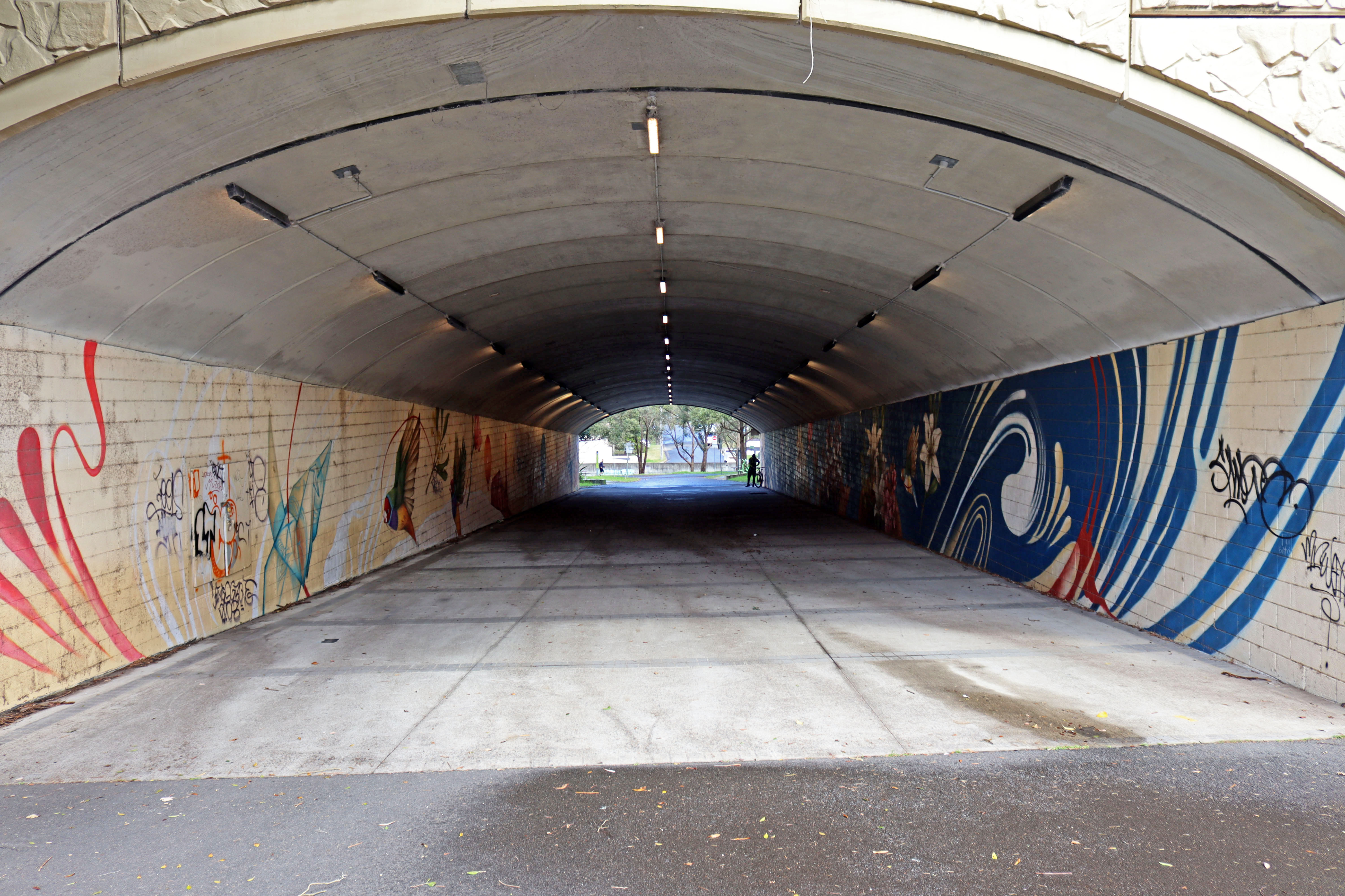 Fantastic Worlds by Stynabyna | Street Art NSW