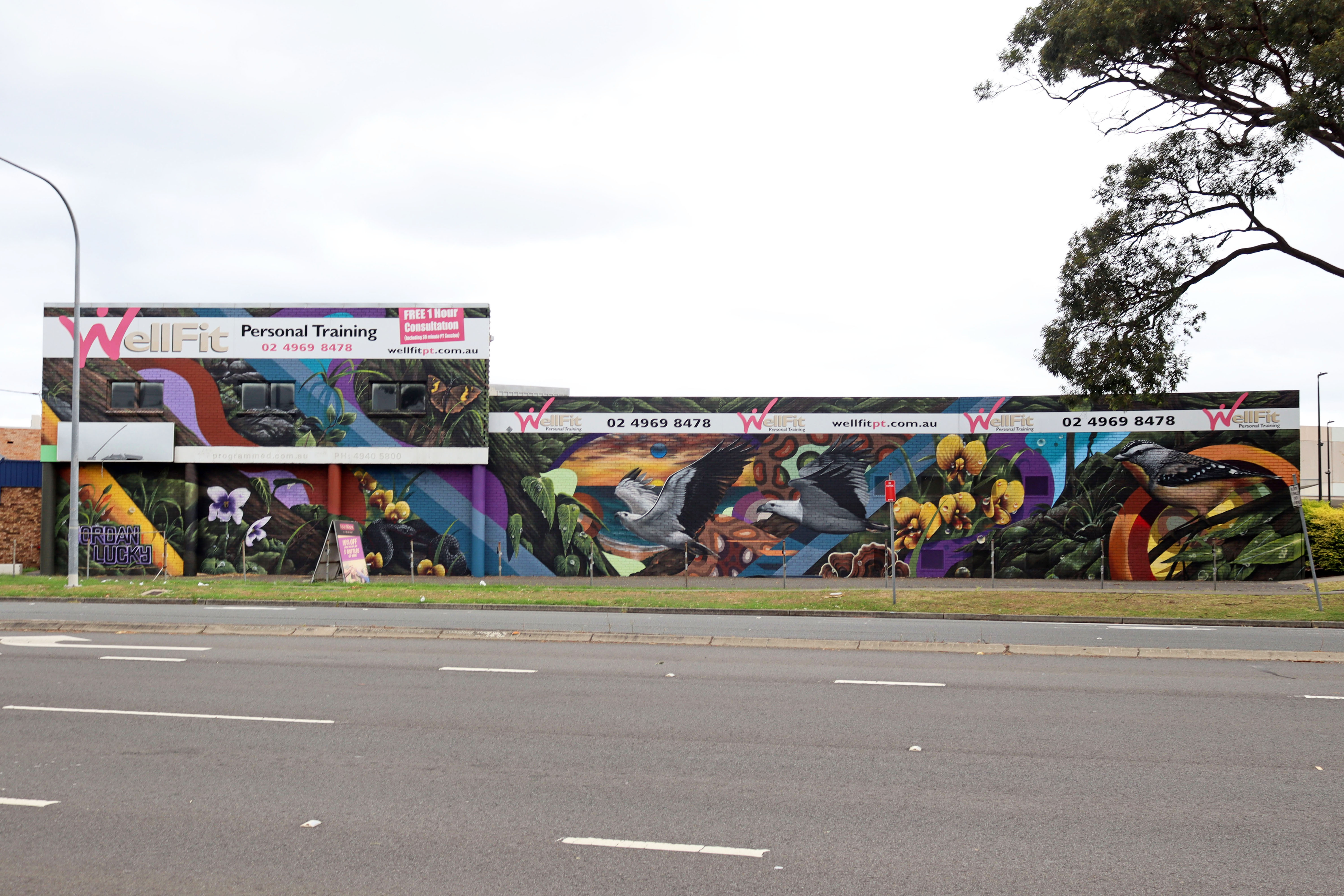 Abundant Newcastle