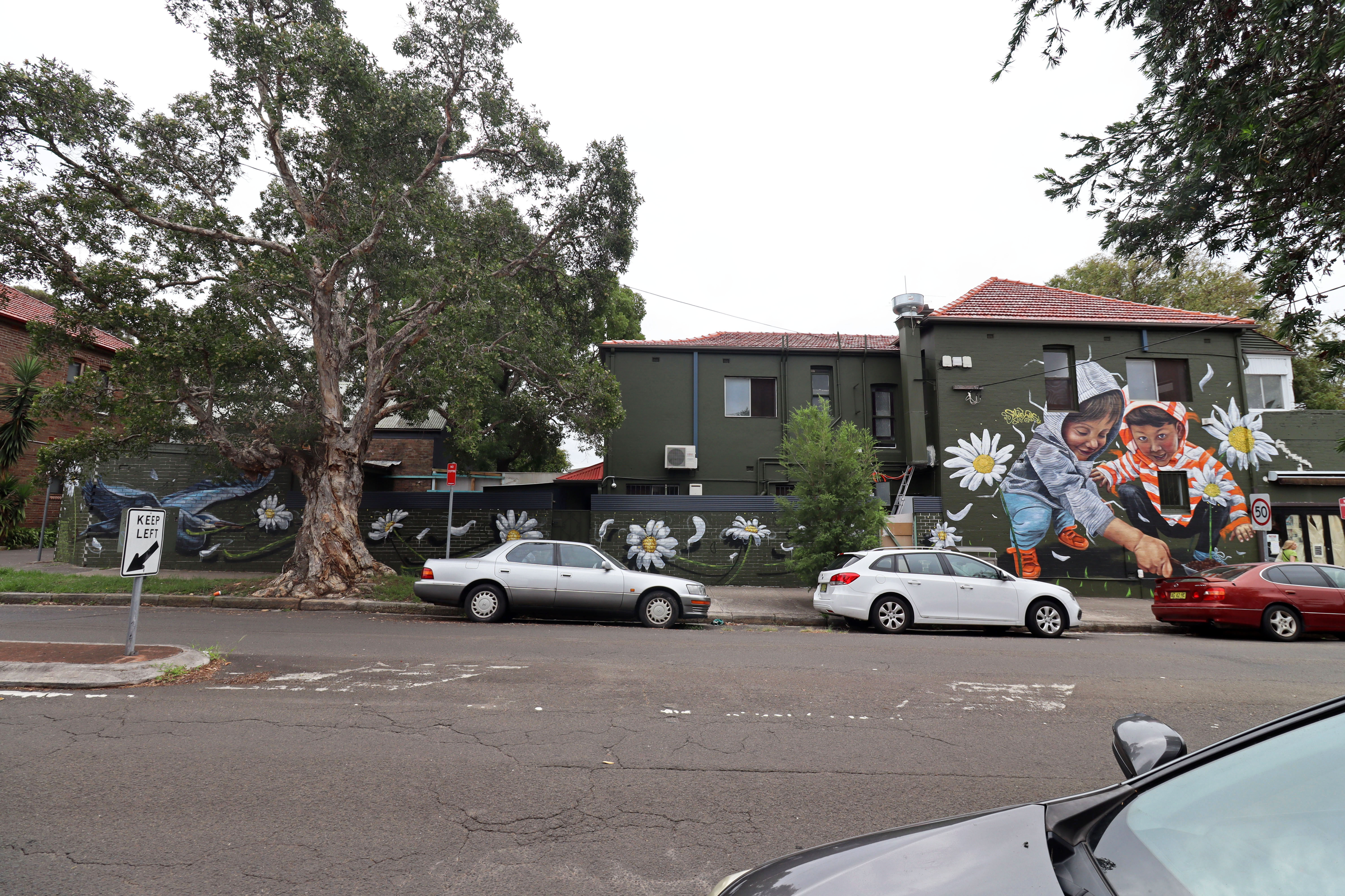 Grow Where You are Planted by Smackas | Street Art NSW