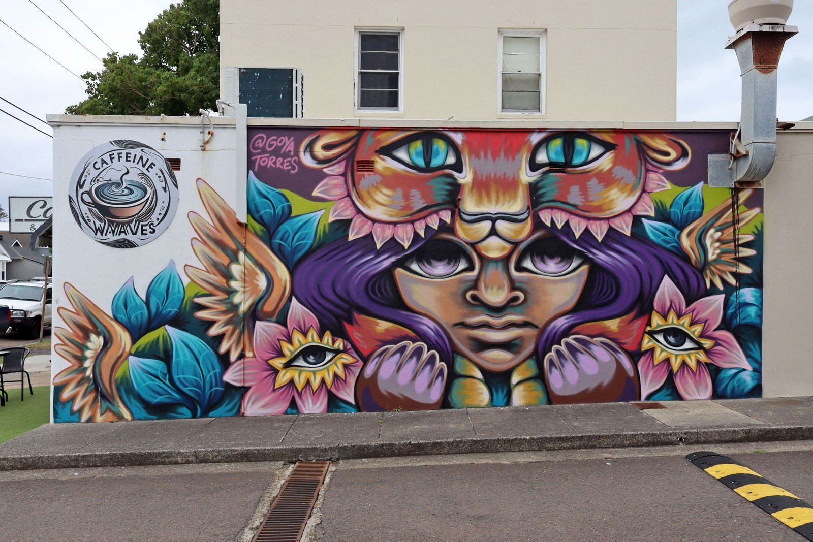 Just Come Home by Goya Torres | Street Art NSW