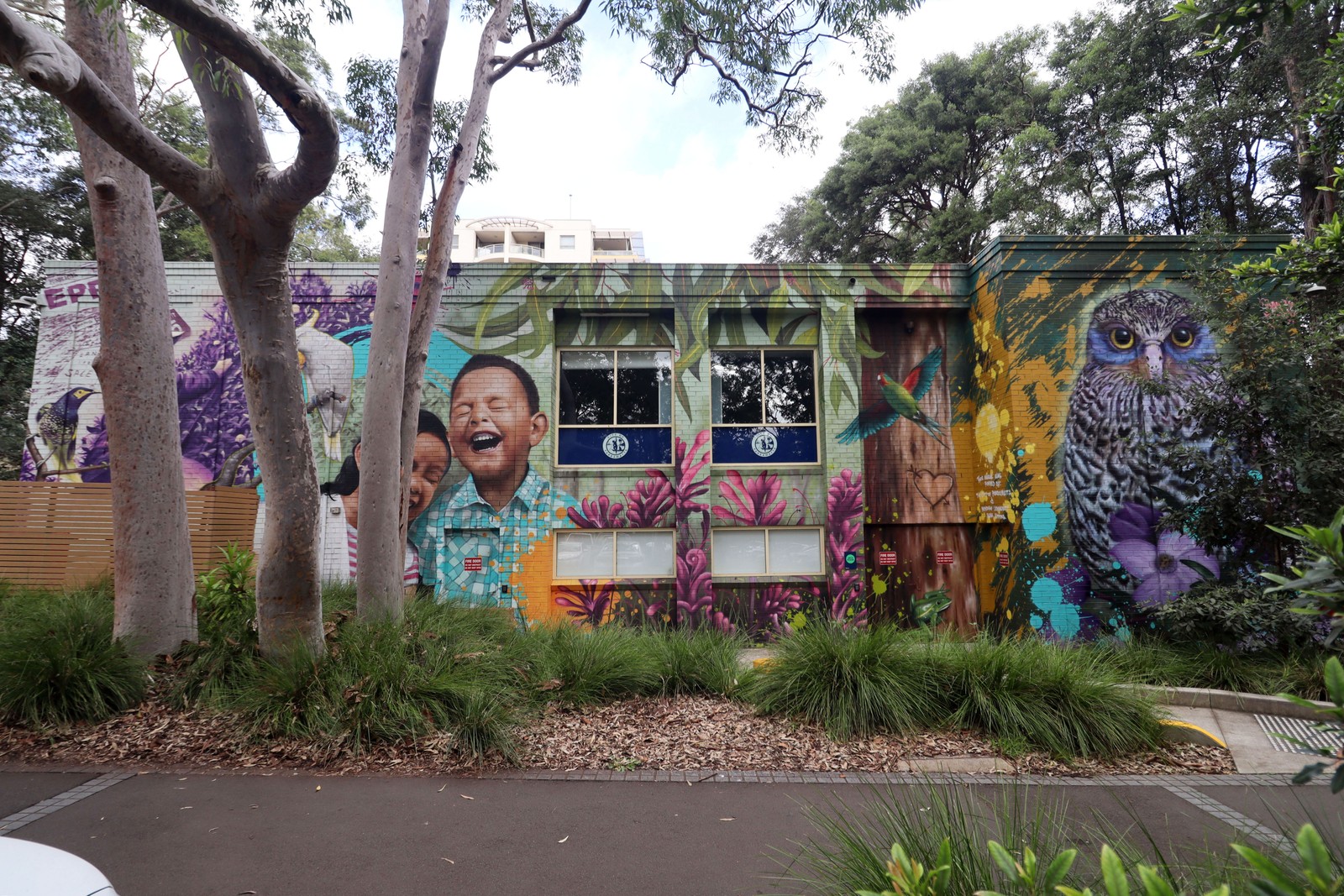 Boronia Grove Community Centre Mural by Damien Mitchell | Street Art NSW