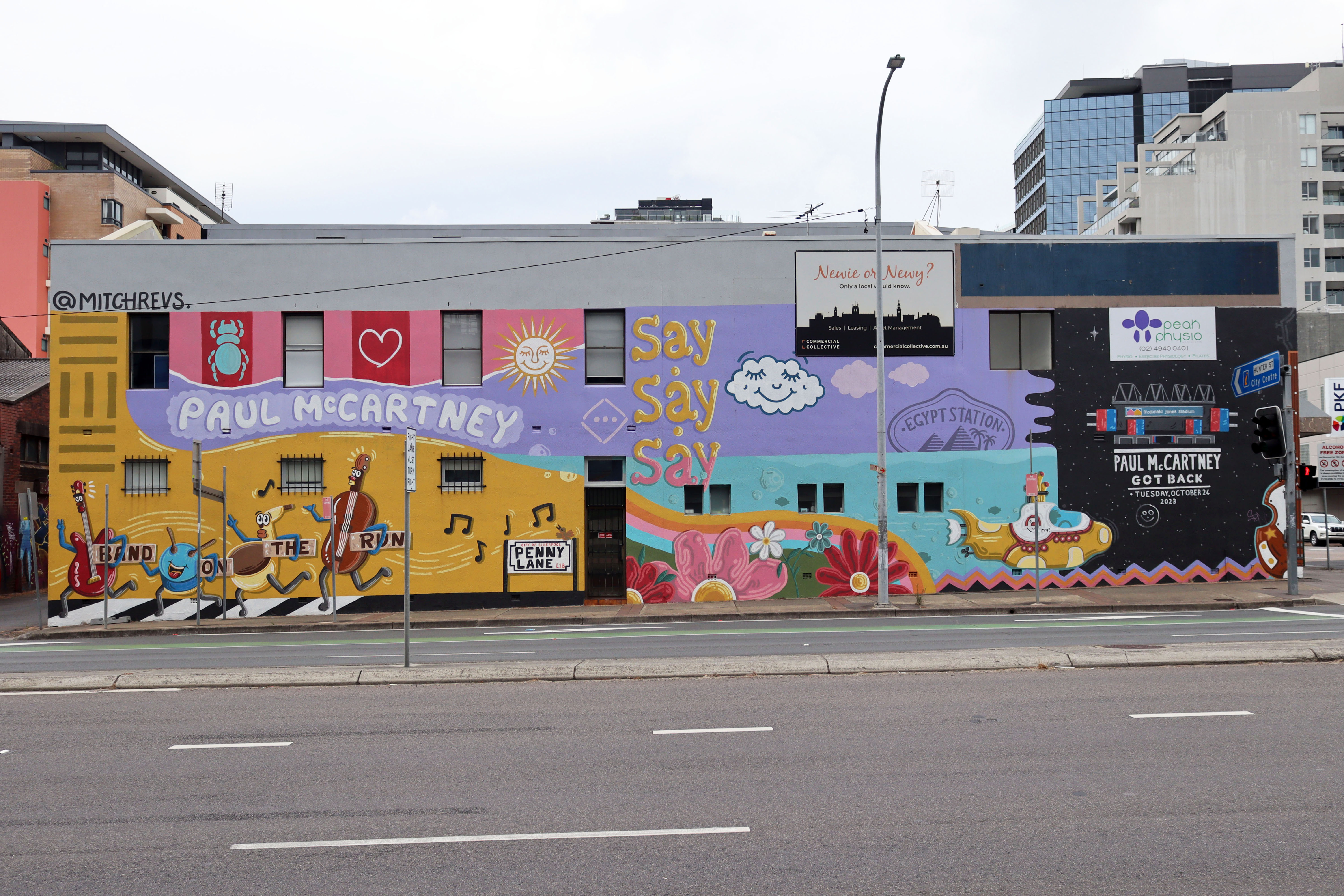 Harmonies in Art by Mitch Revs | Street Art NSW