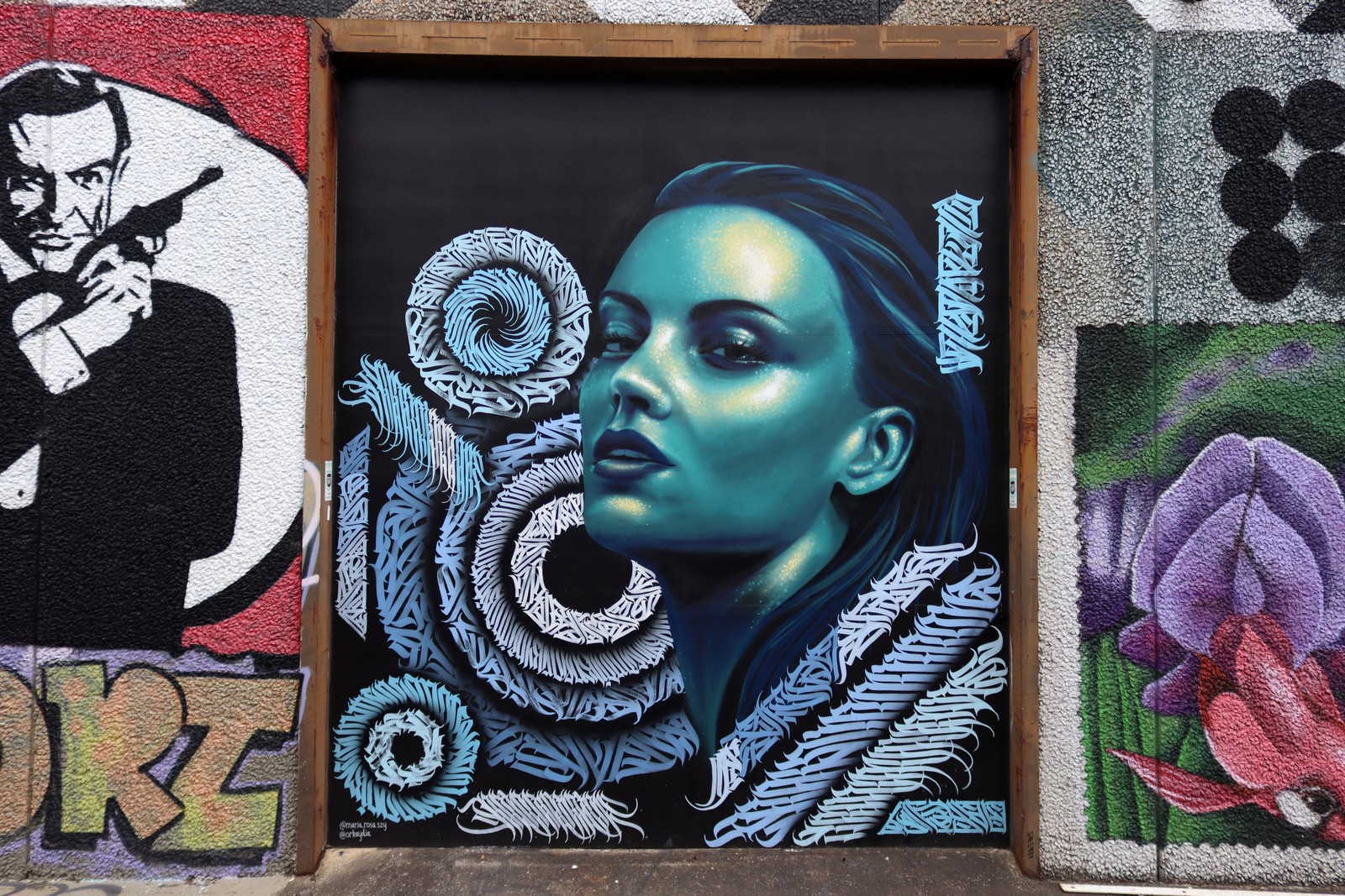 Untitled by Maria-Rosa Szychowska | Street Art NSW
