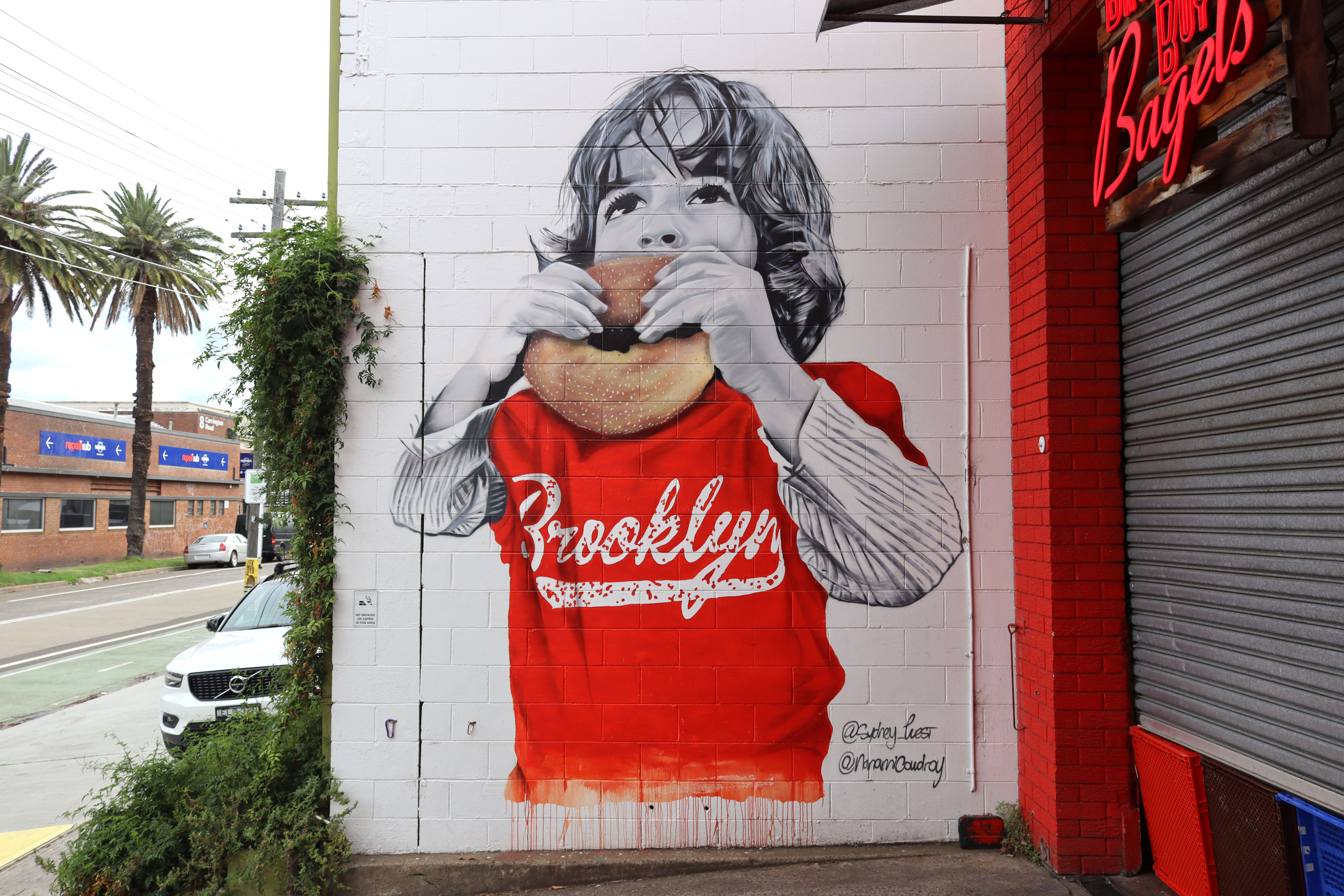 Brooklyn Boy (August) by Sydney West | Street Art NSW