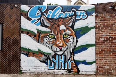 Siberian Lynx
