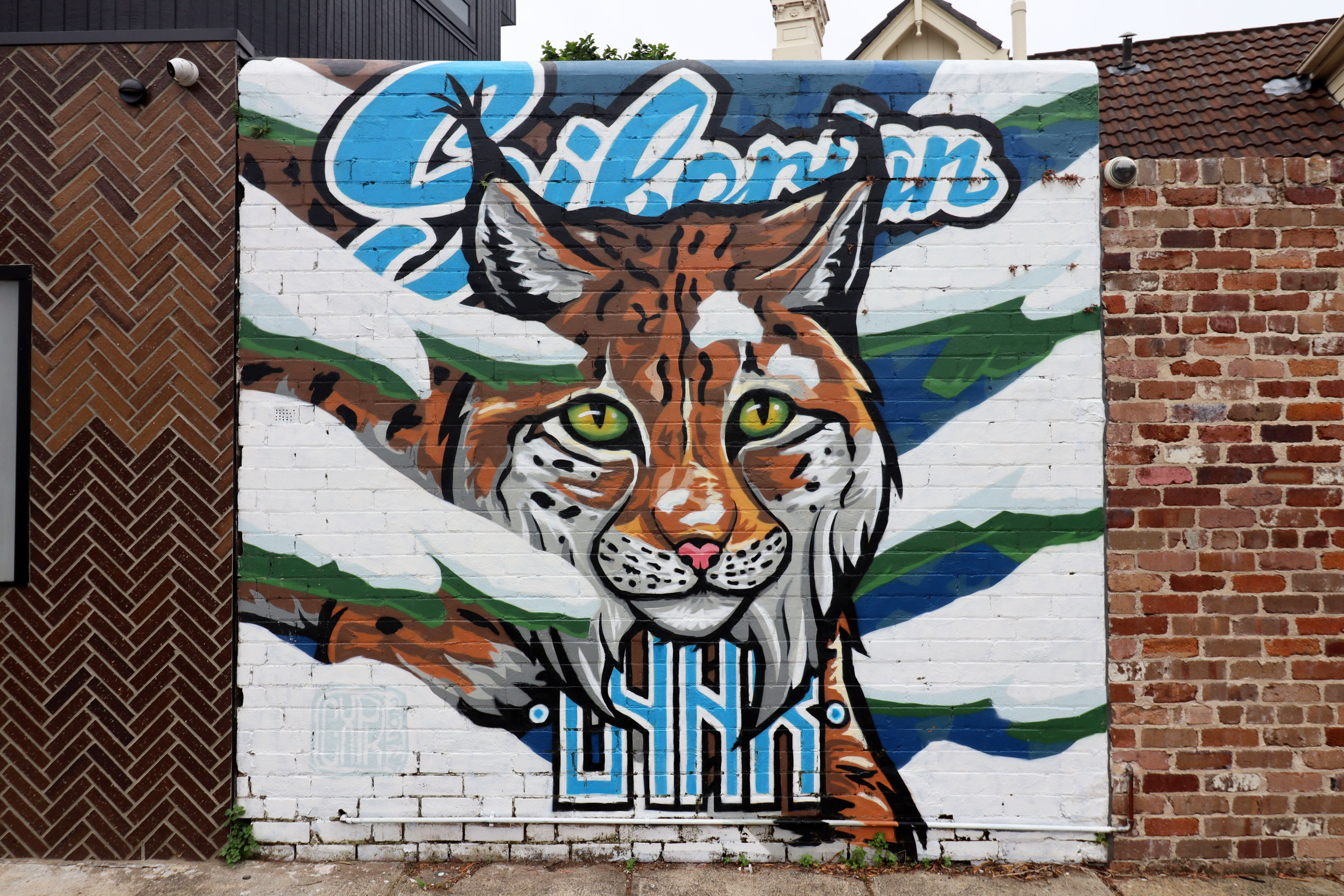 Siberian Lynx by CXPK Art | Street Art NSW