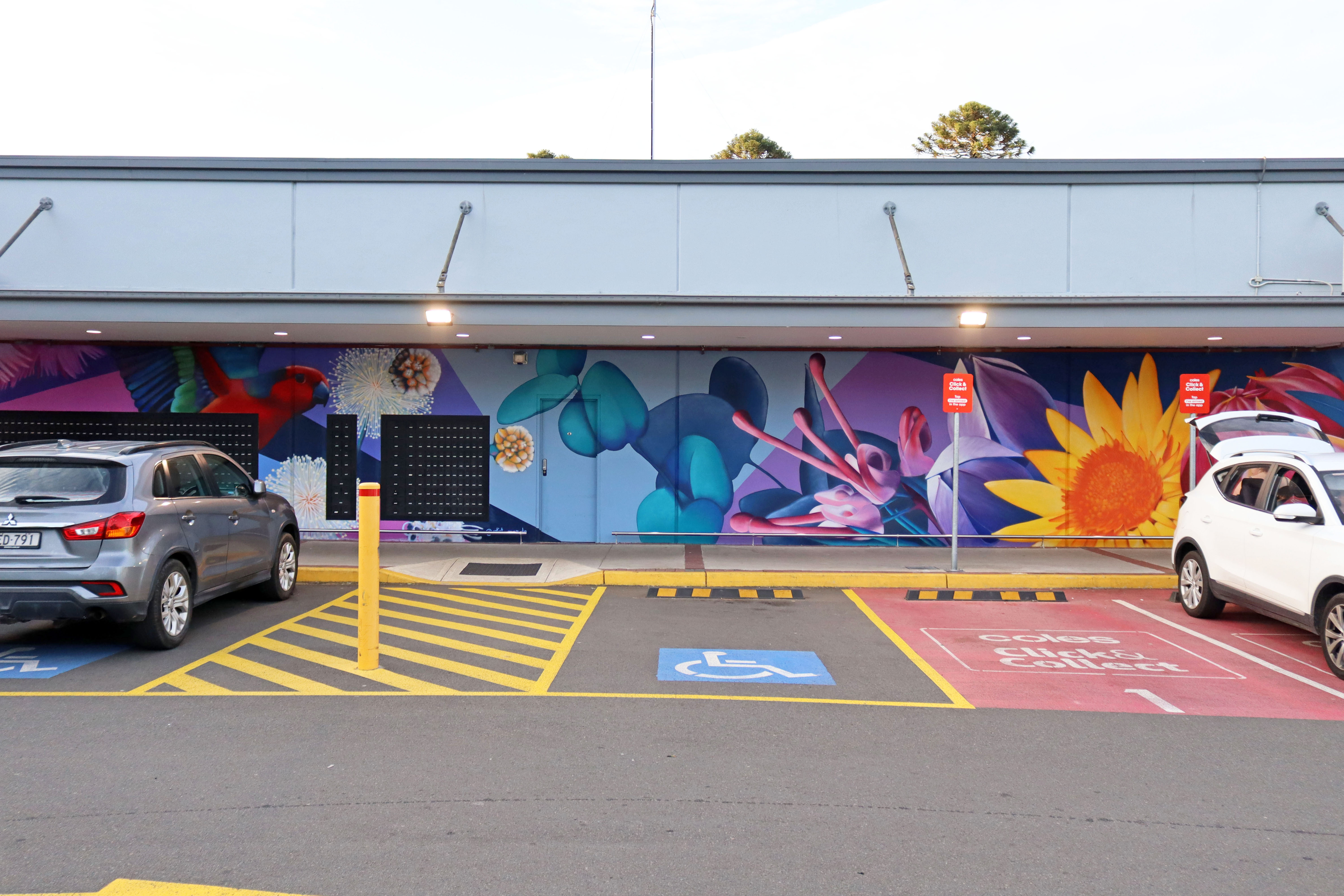 Harmony in Nature by MAN.De | Street Art NSW