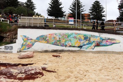 Southern Right Whale
