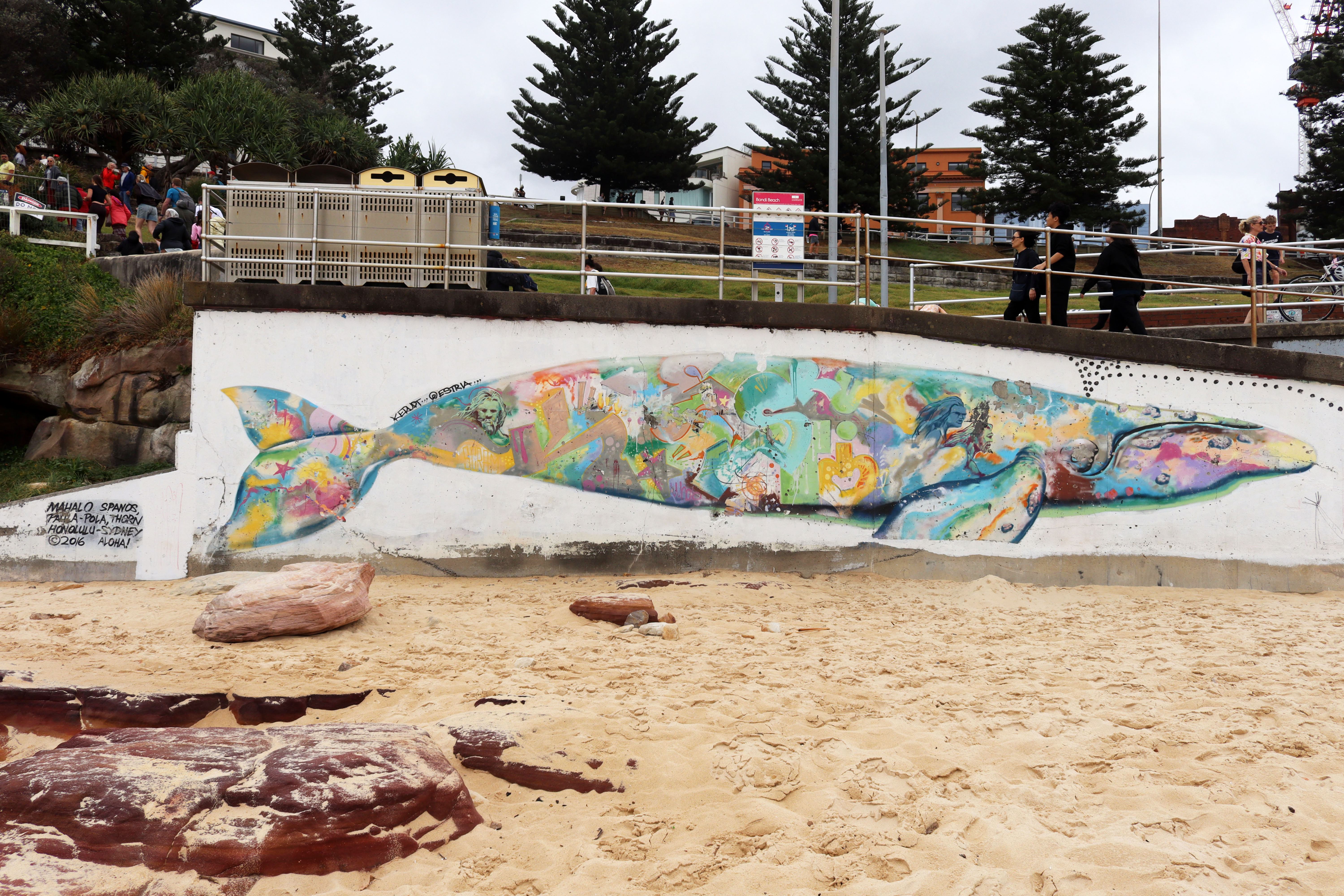 Southern Right Whale by Estria | Street Art NSW