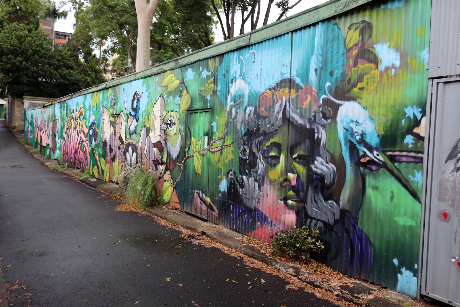 Untitled by Peque | Street Art NSW