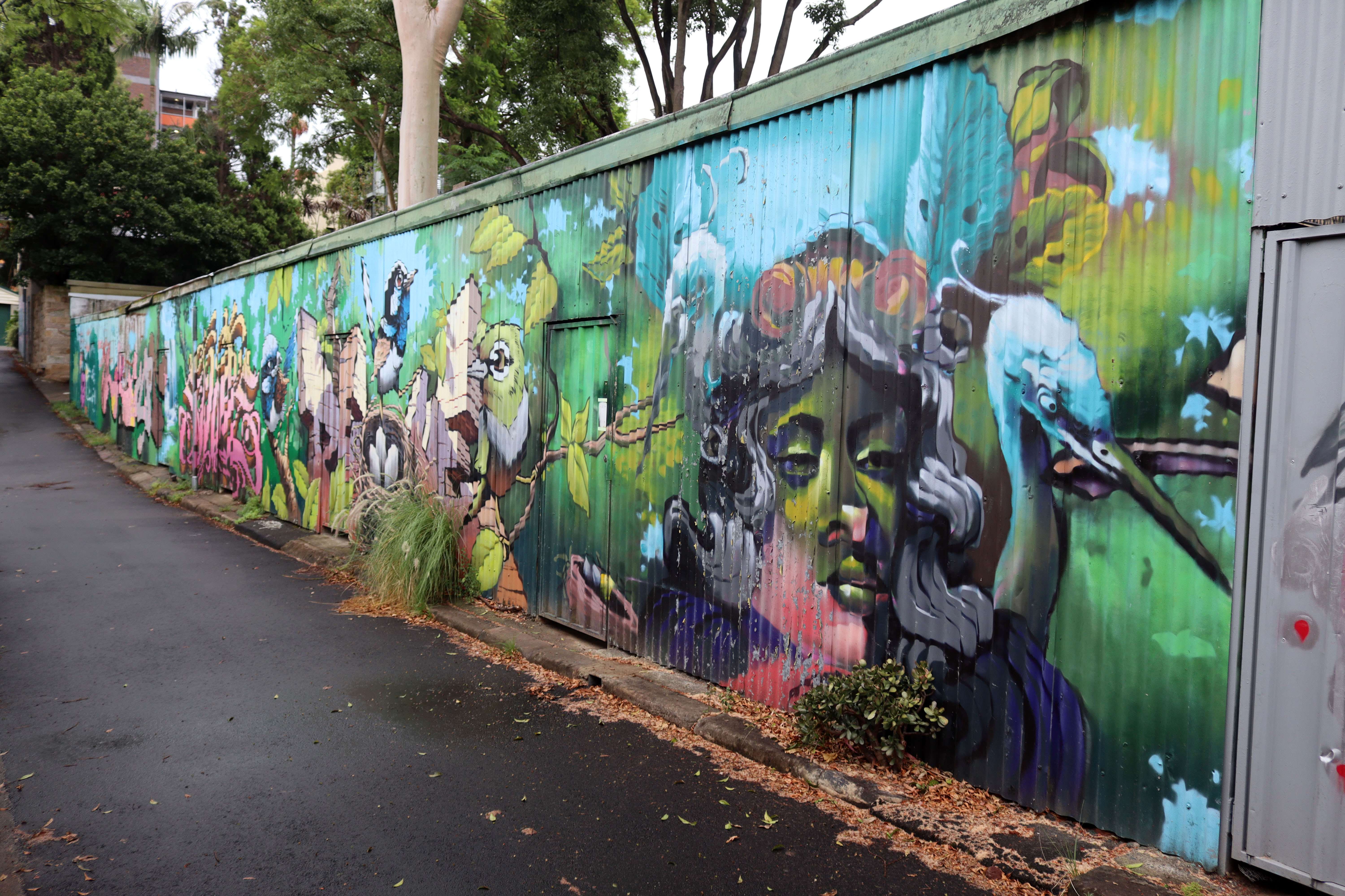 Untitled by Peque | Street Art NSW