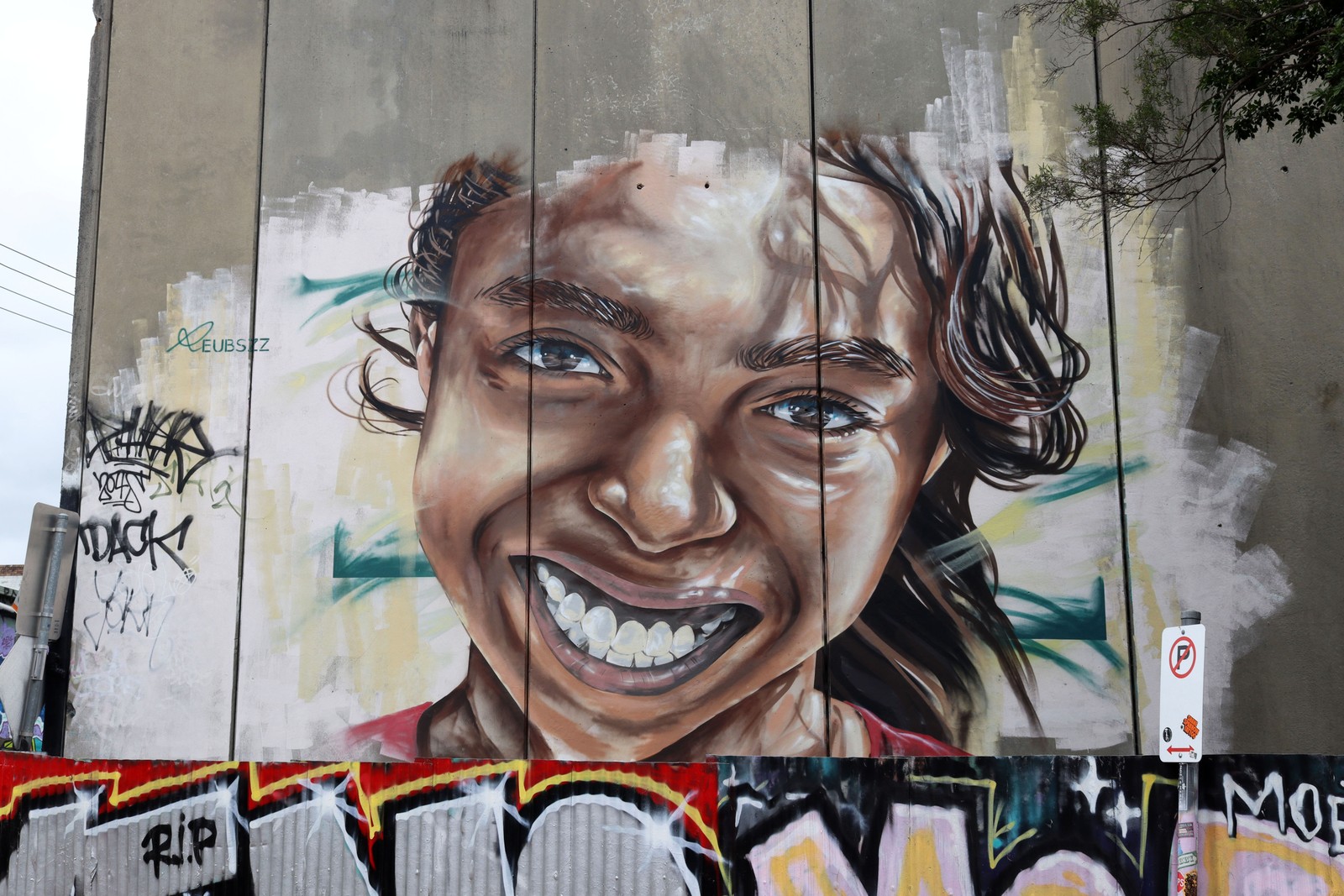 Untitled by Reubszz | Street Art NSW