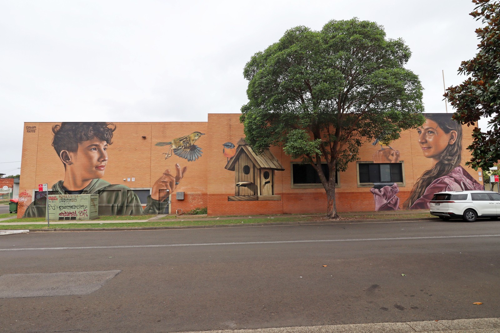 Peace by Calum Hotham | Street Art NSW