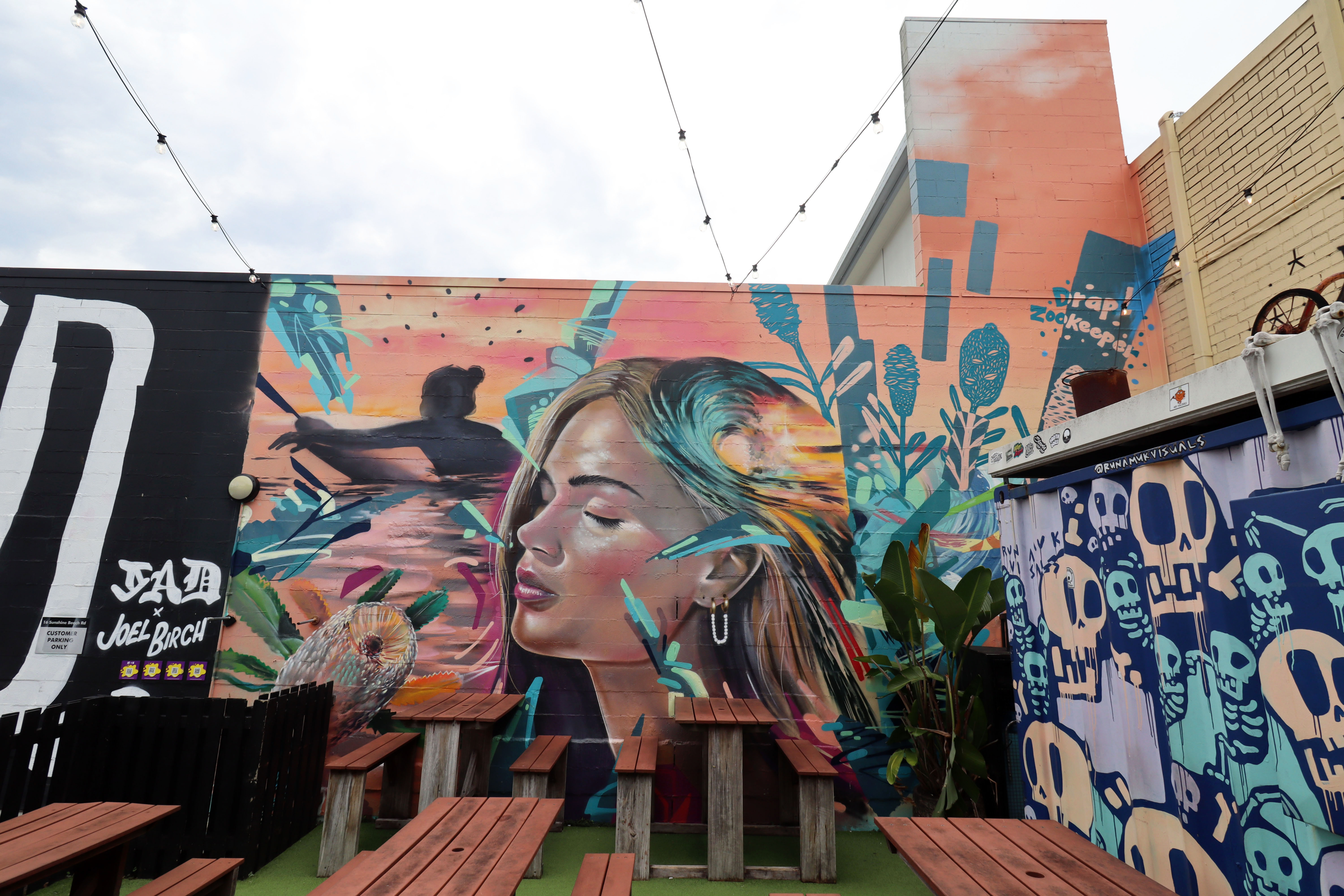 Untitled by Drapl | Street Art NSW