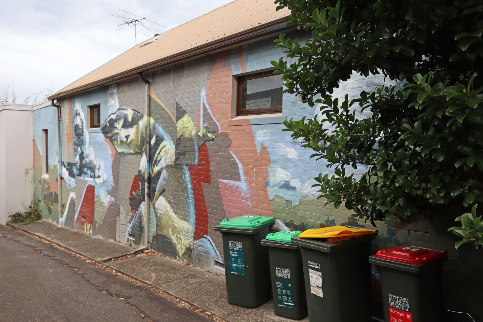 Goanna by Elbows | Street Art NSW