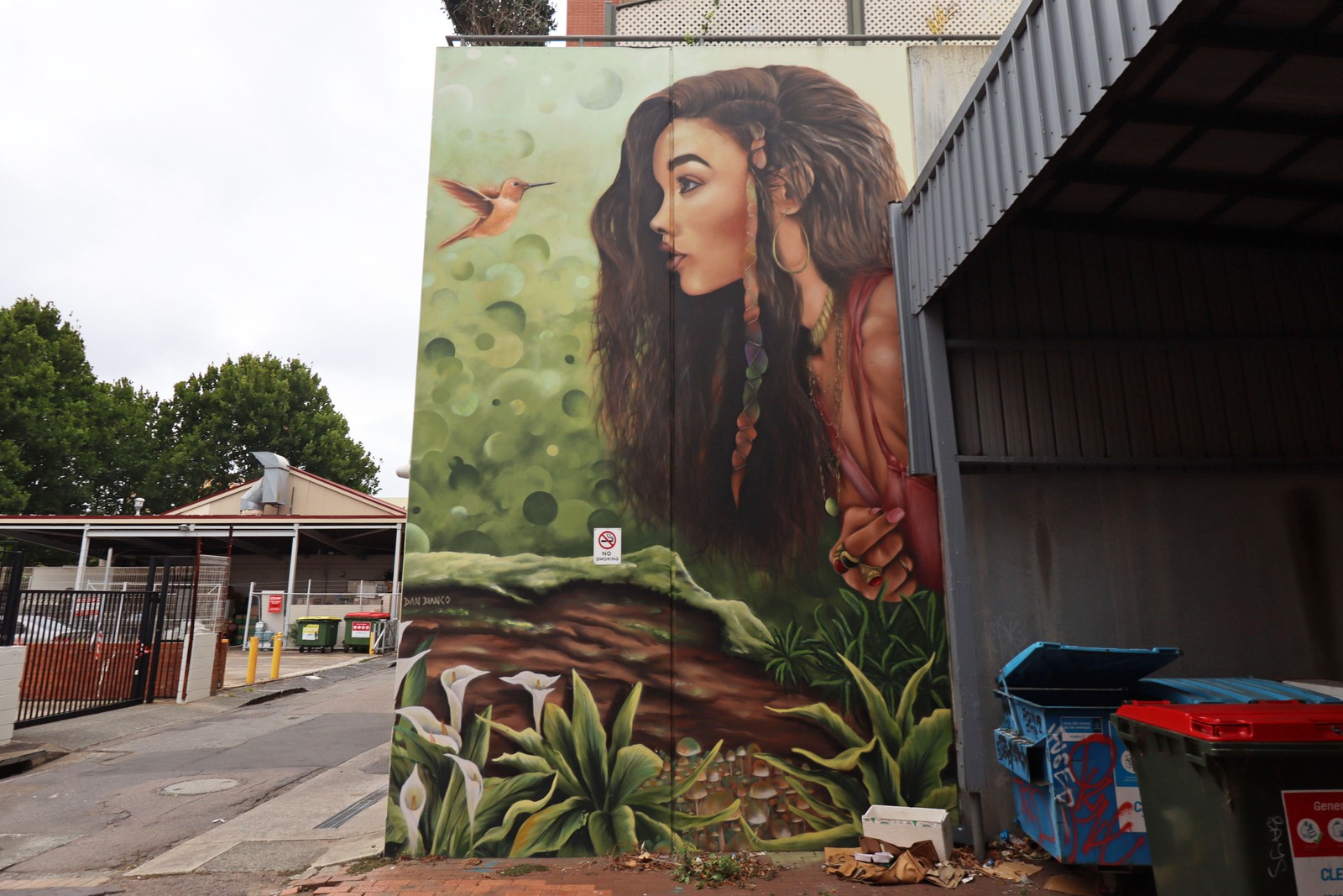 Back to Nature by Dan Bianco | Street Art NSW