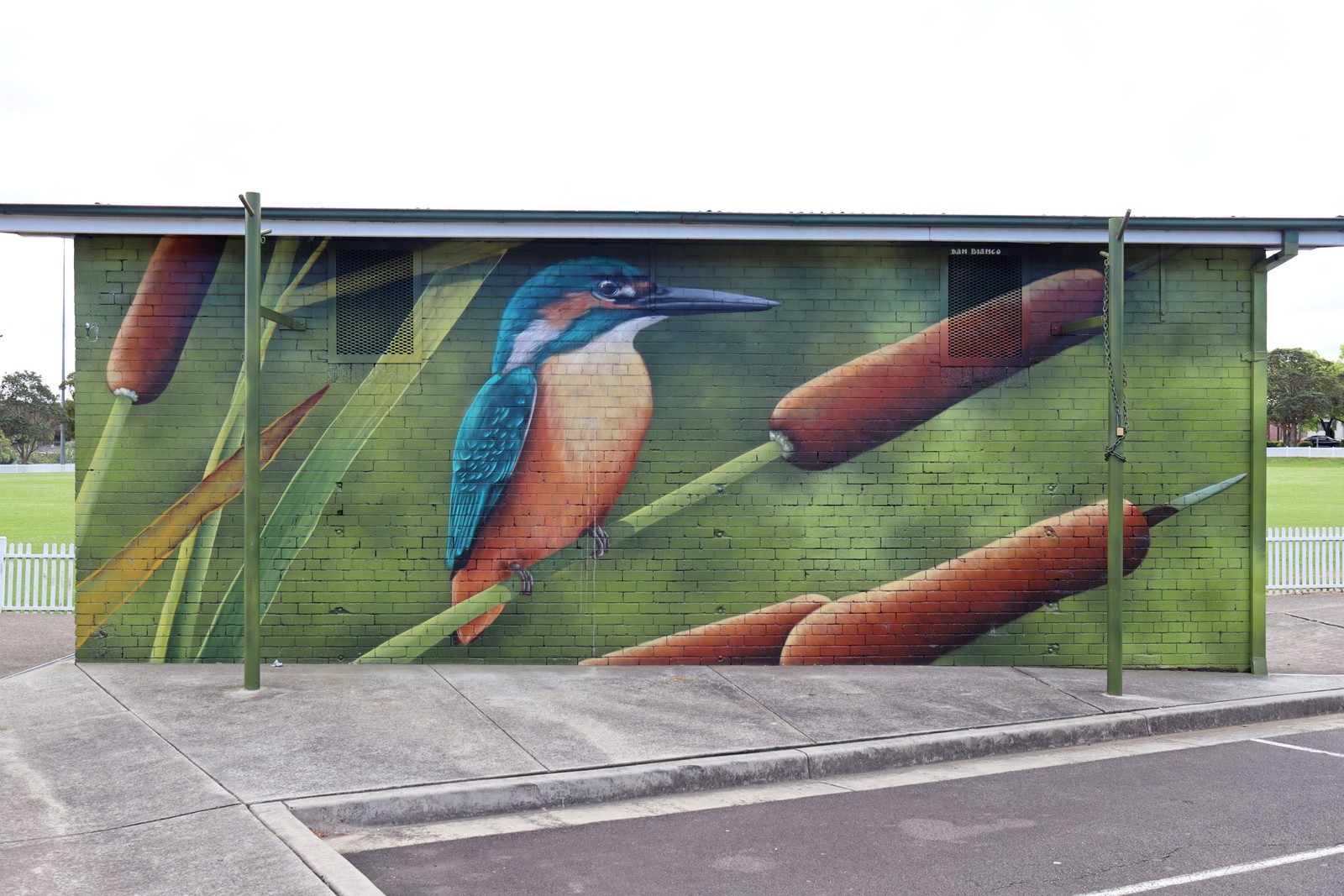 Sacred Kingfisher by Dan Bianco | Street Art NSW