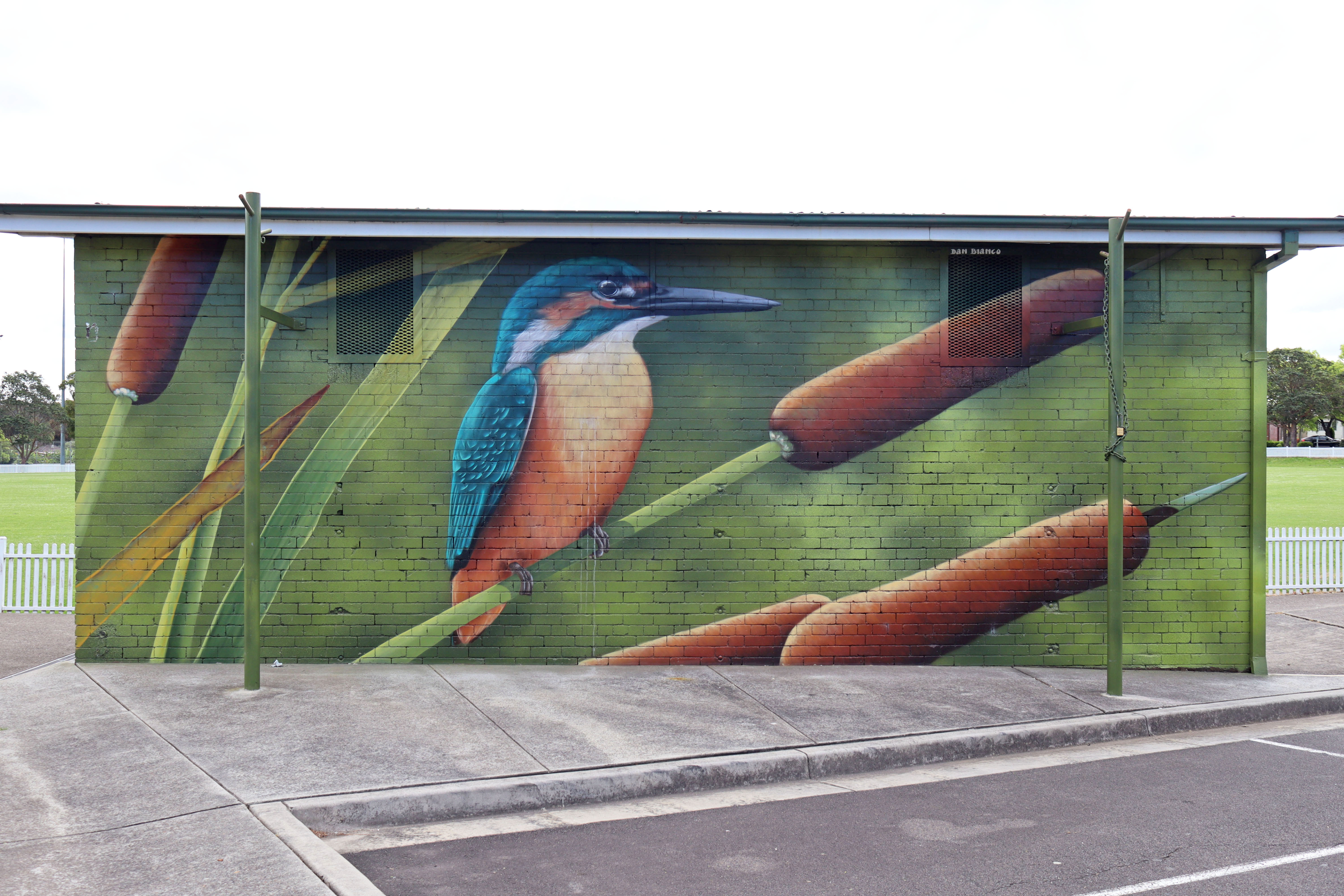 Sacred Kingfisher by Dan Bianco | Street Art NSW