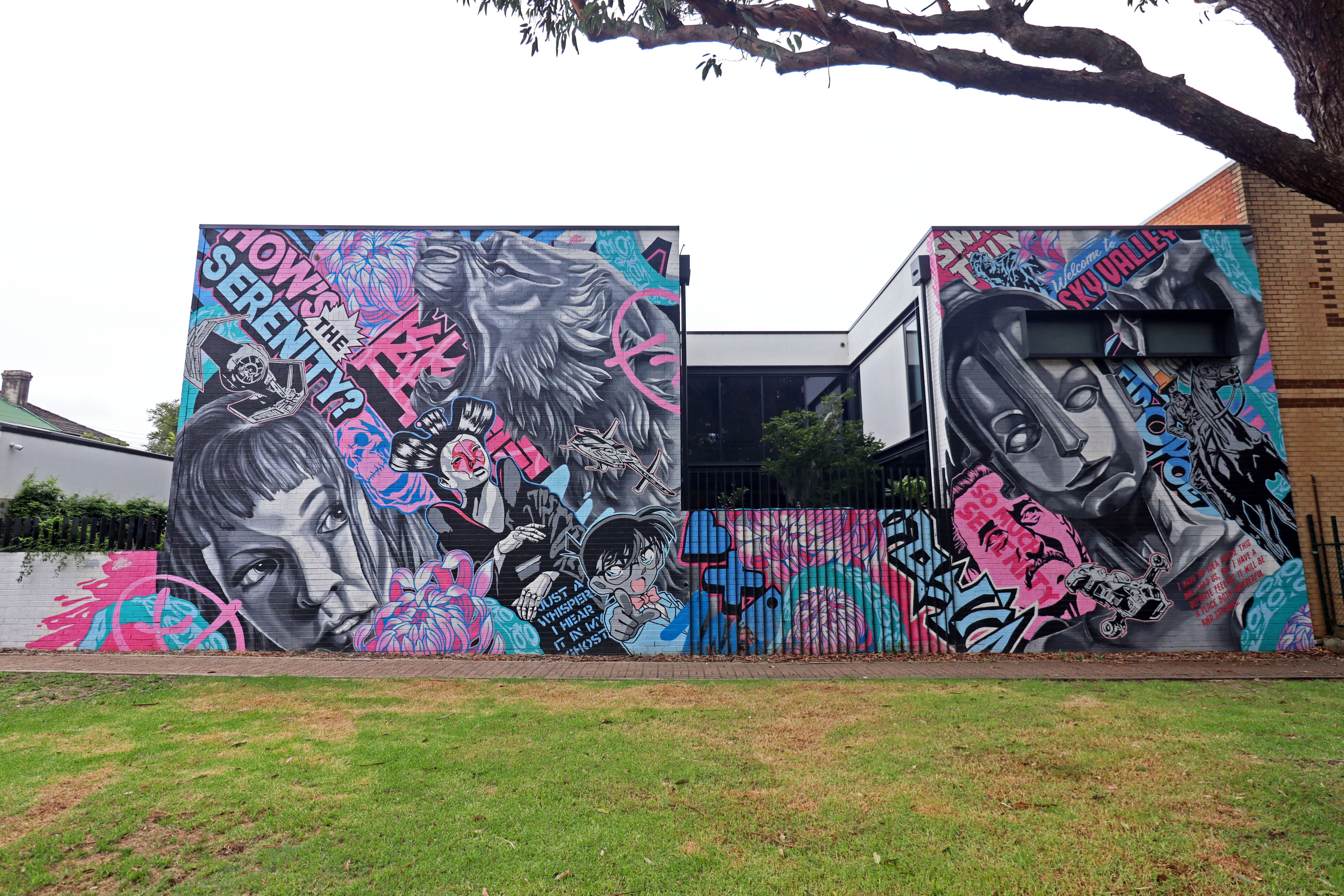 How's the Serenity? by Alex Lehours | Street Art NSW