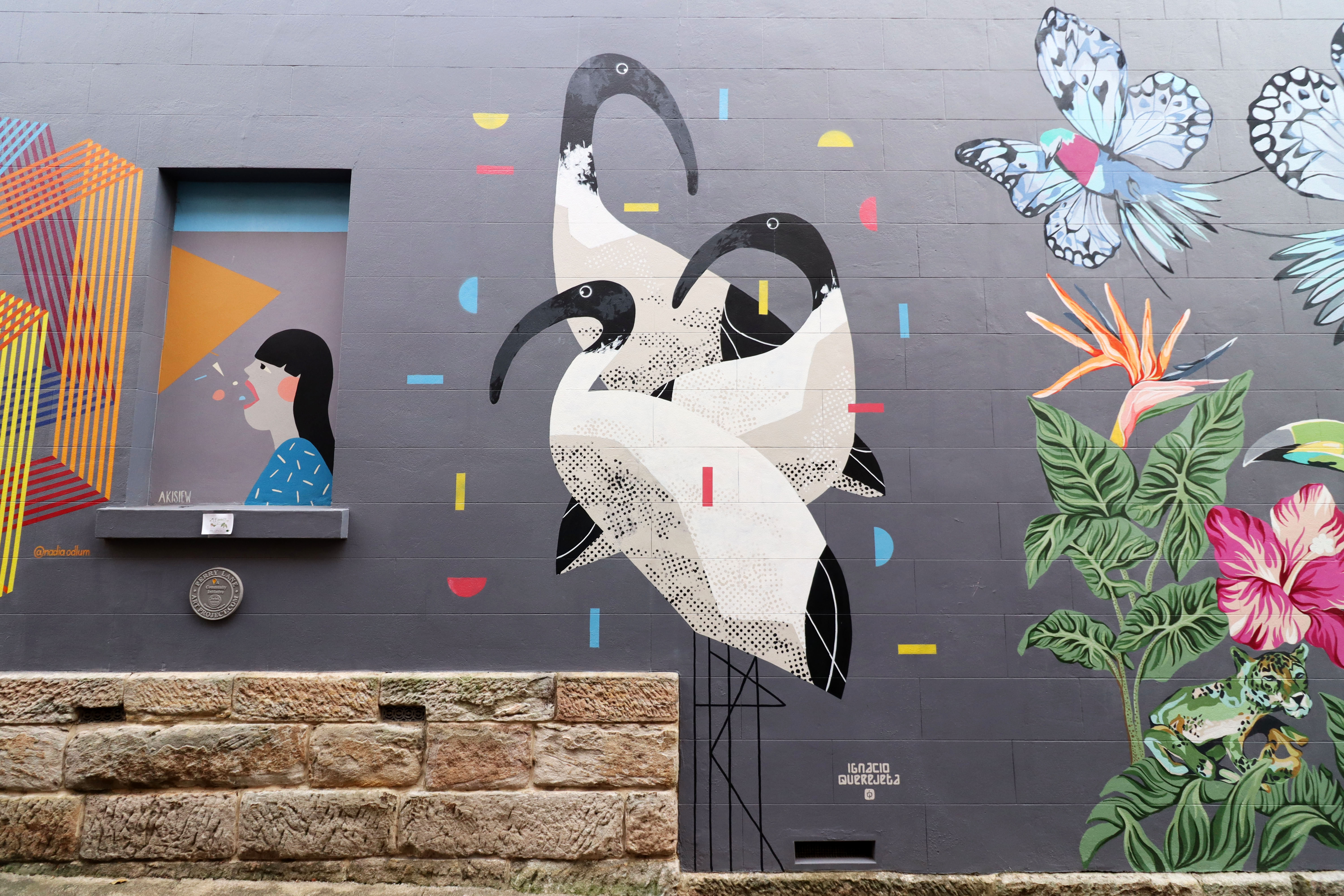 Three Ibis by Ignacio Querejeta | Street Art NSW