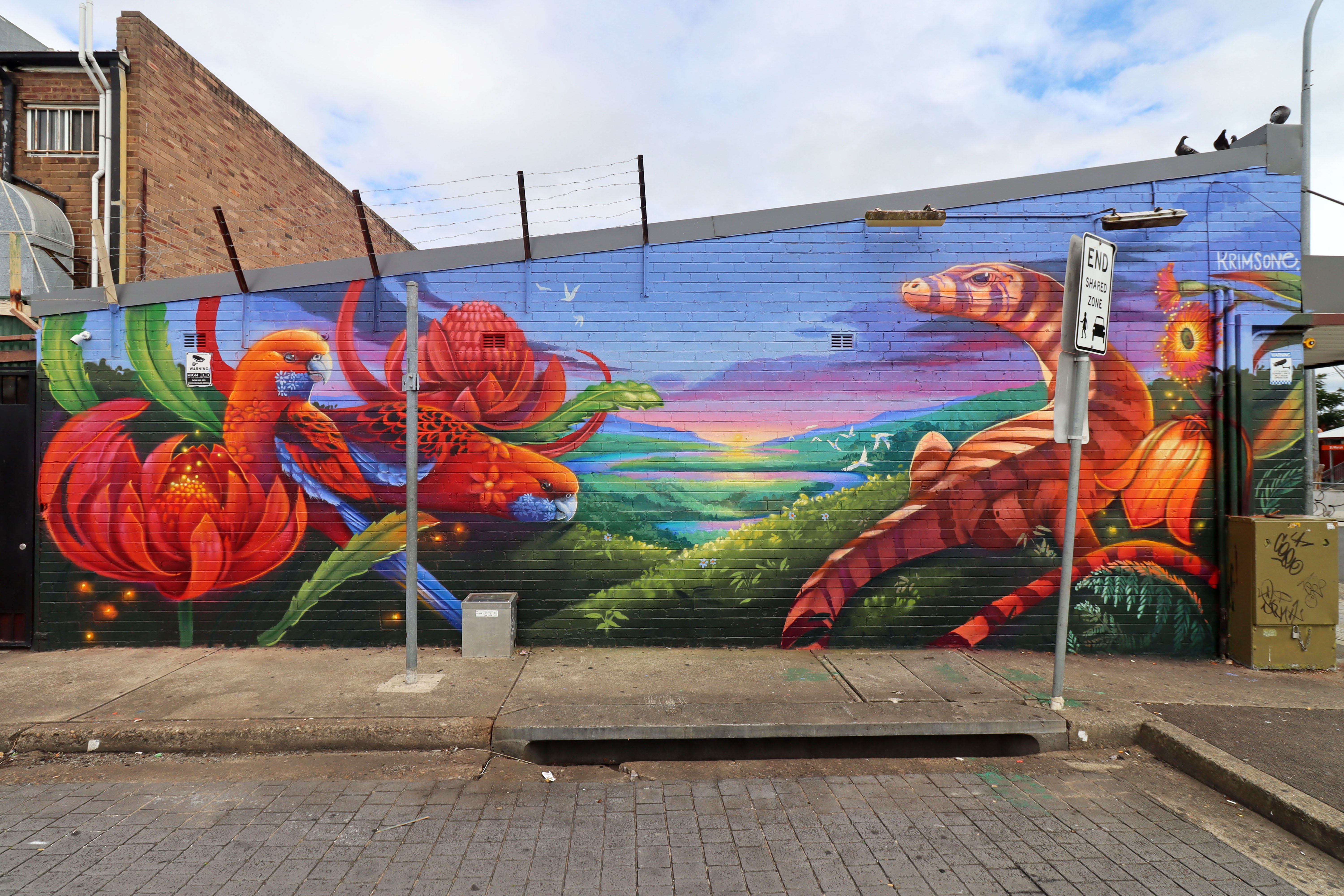 Untitled by Krimsone | Street Art NSW