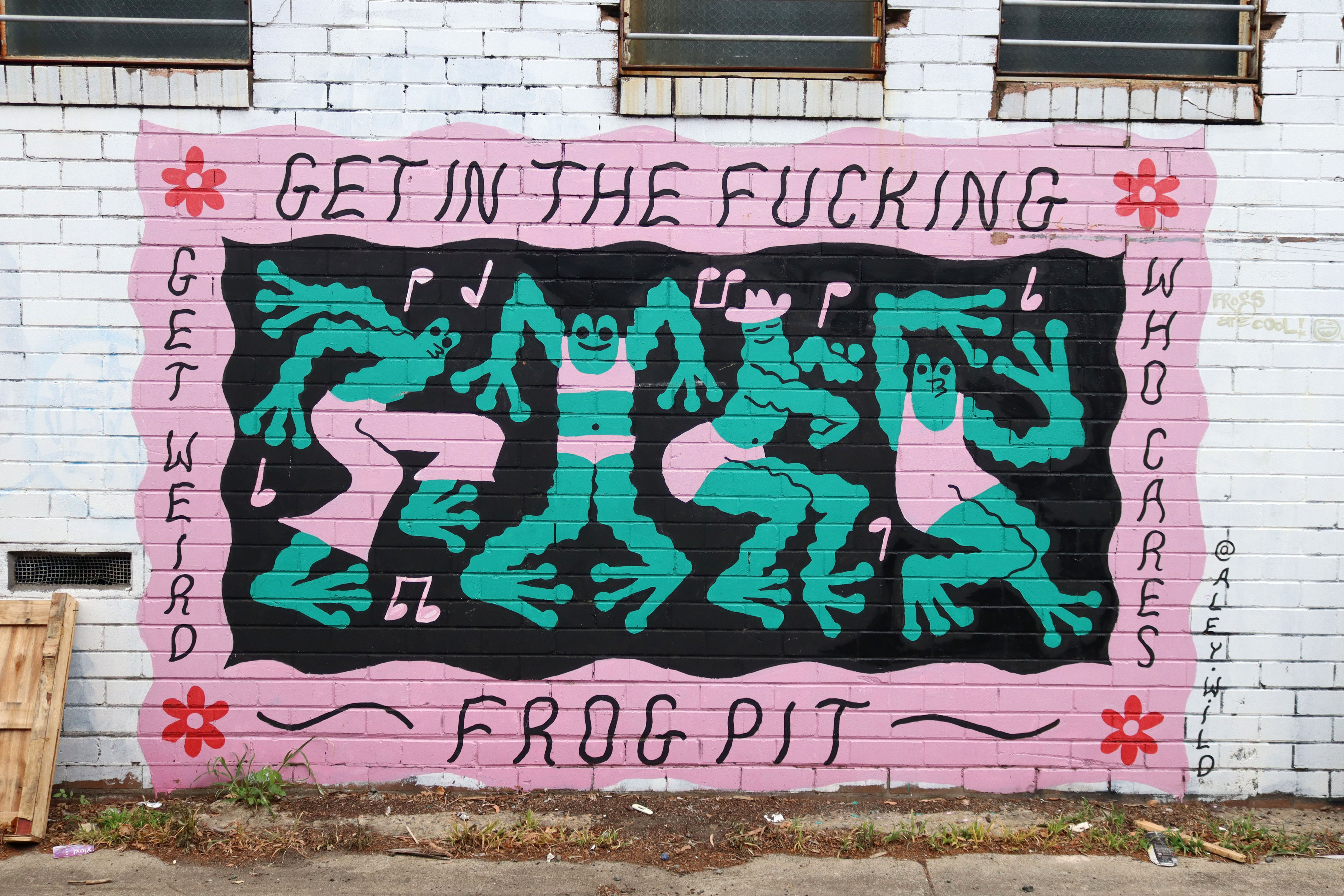 Get in the Fucking Frog Pit! by Aley Wild | Street Art NSW