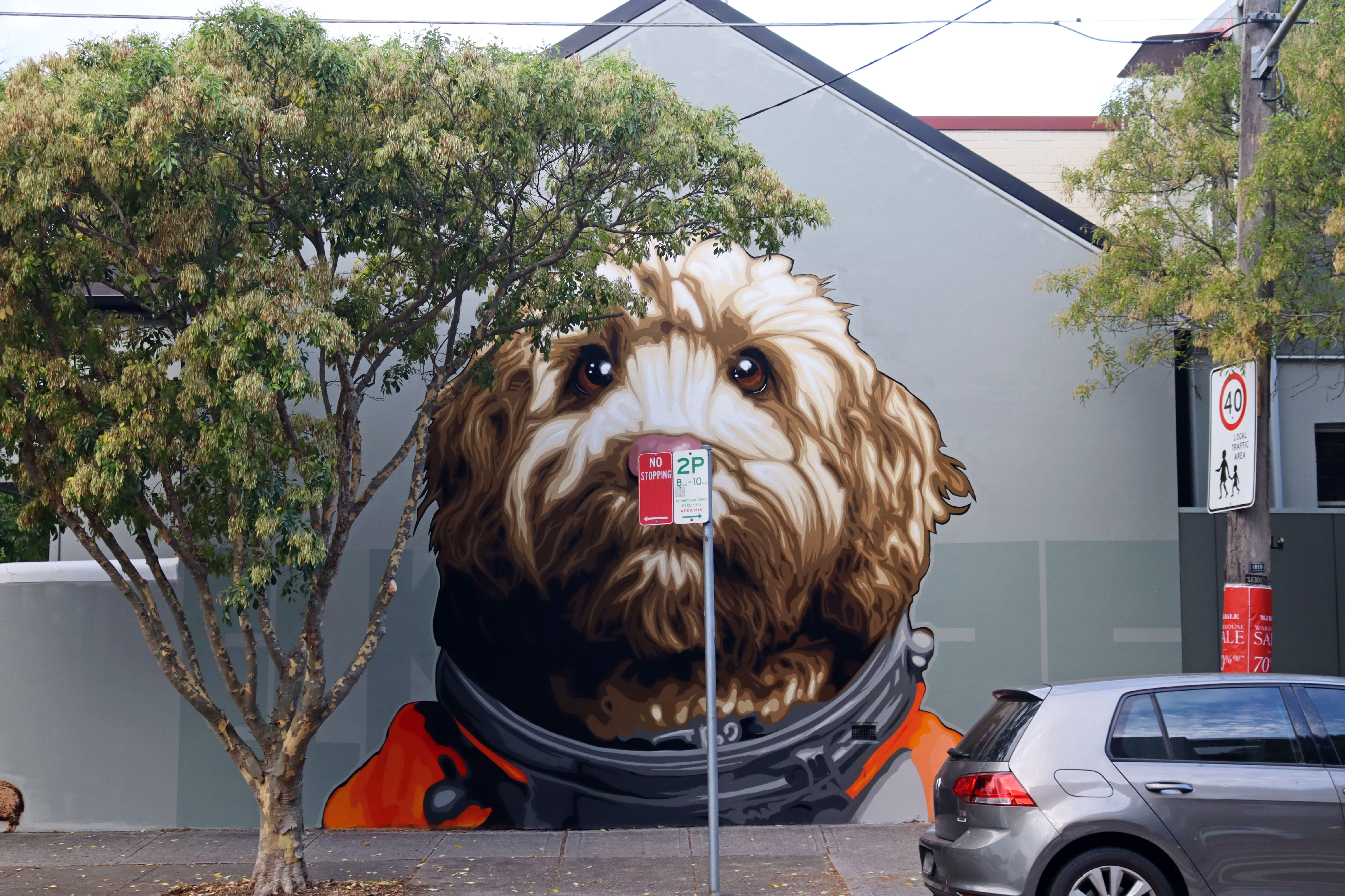 Dean the Cavoodle by E.L.K. | Street Art NSW