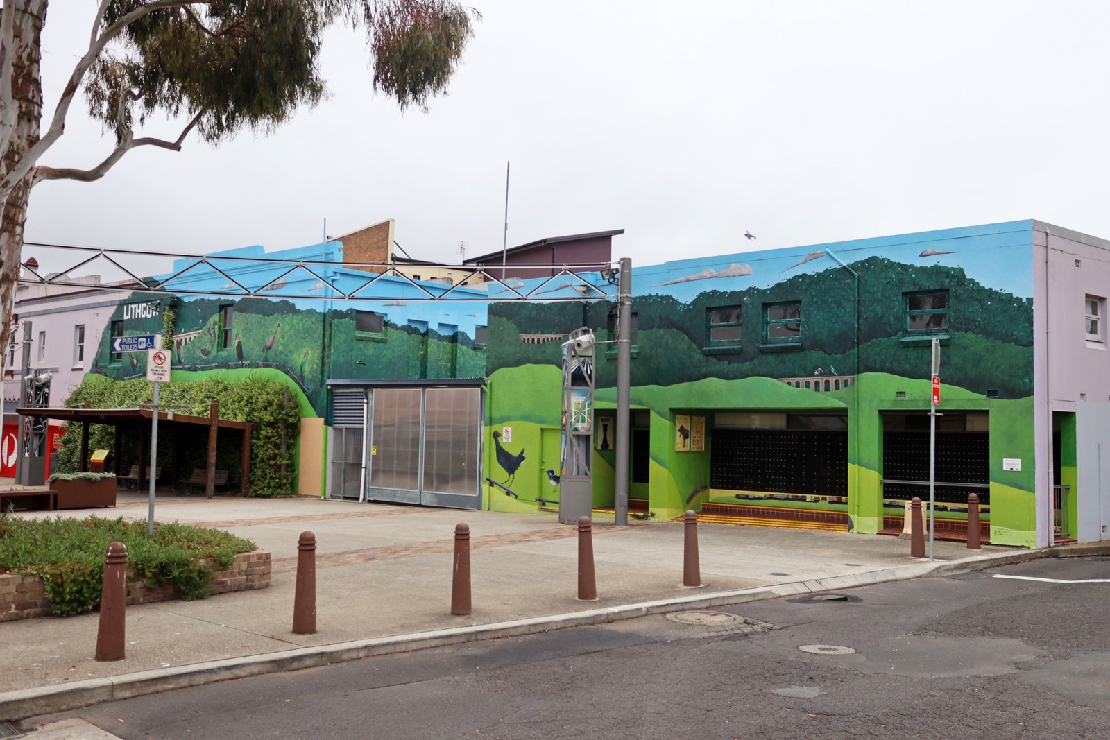 Do You See What I See? by Michael Bourke | Street Art NSW