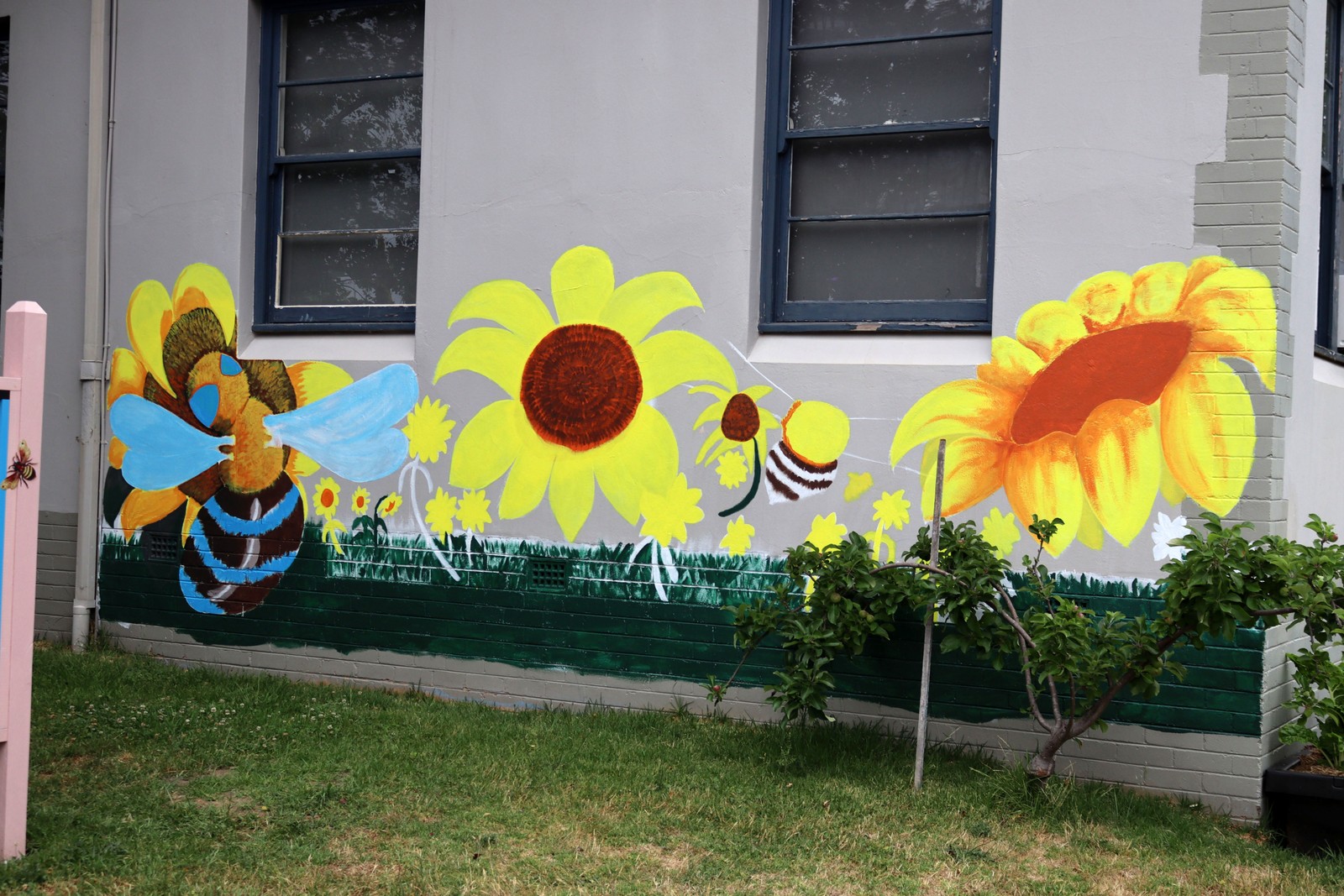 Blue Banded Bee and Sunflowers by PCYC Lithgow | Street Art NSW