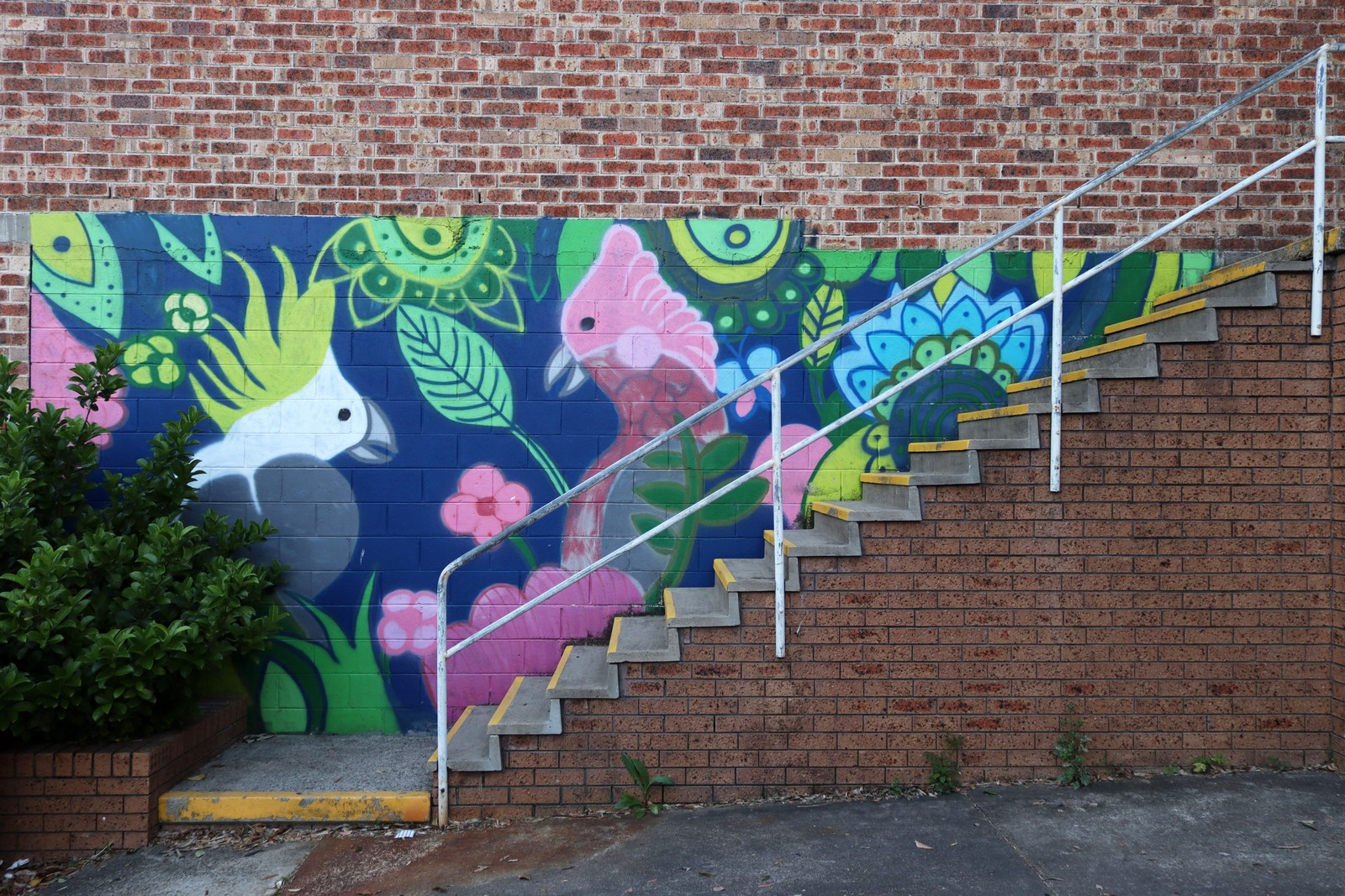 Untitled | Street Art NSW