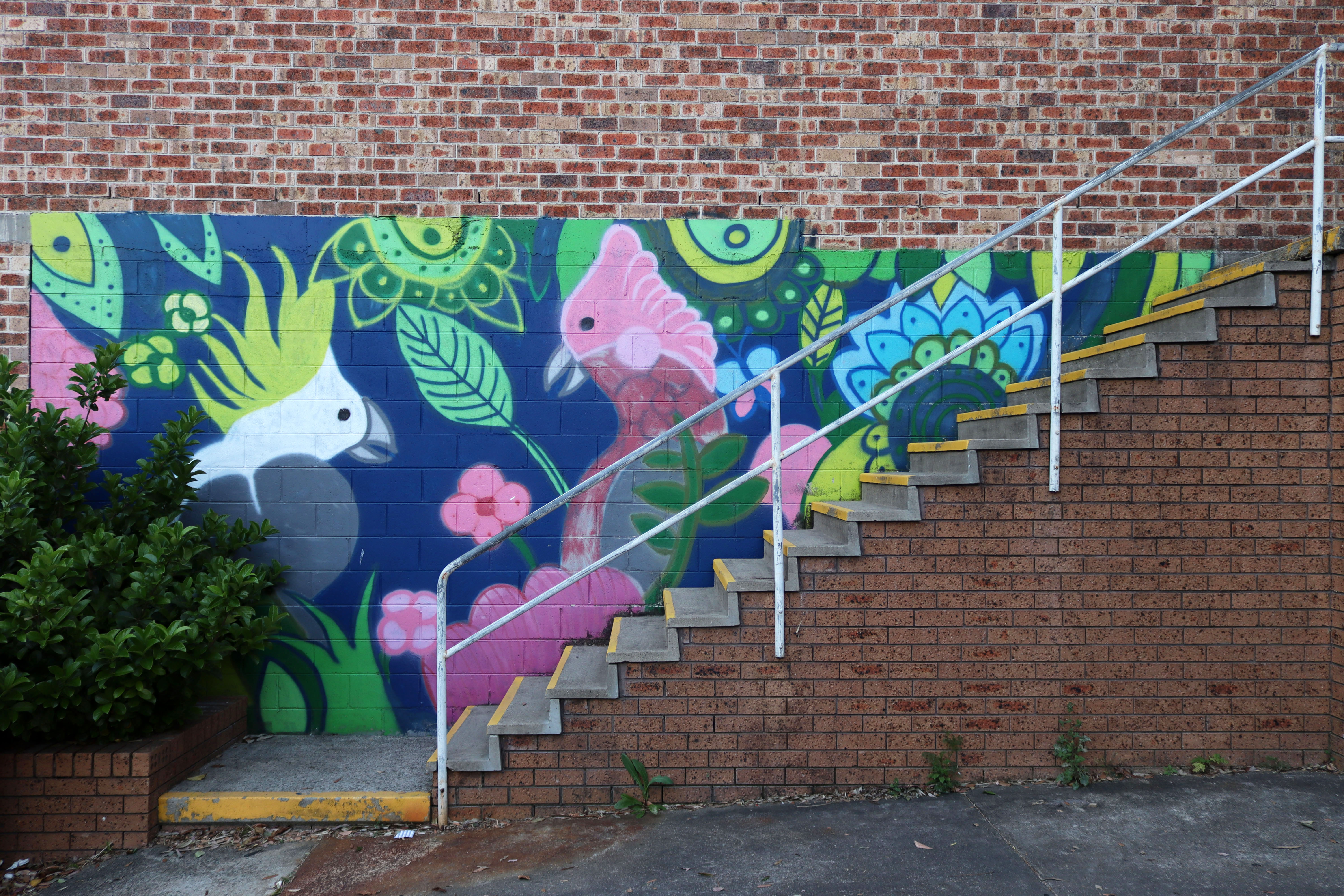 Untitled | Street Art NSW