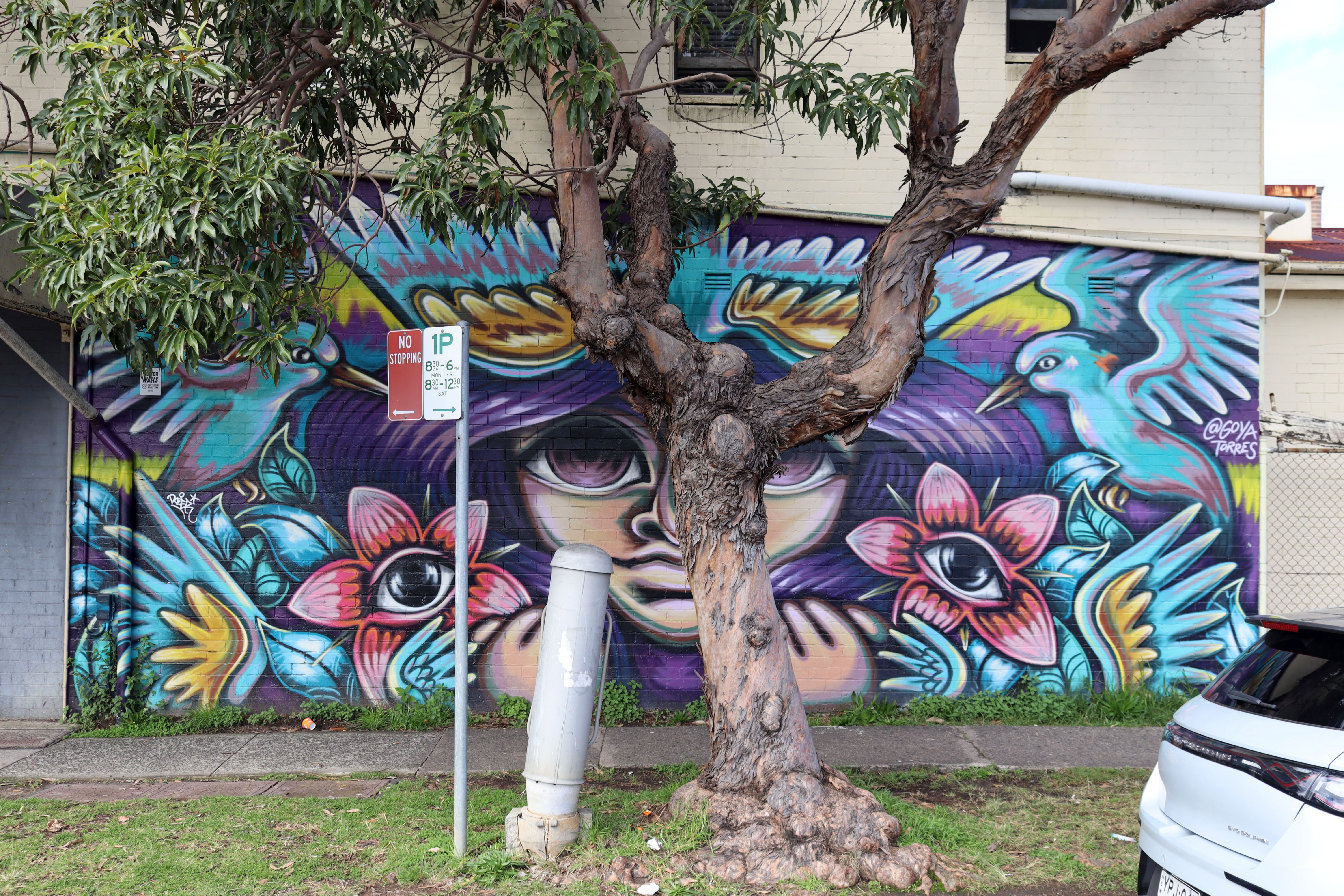 Untitled by Goya Torres | Street Art NSW