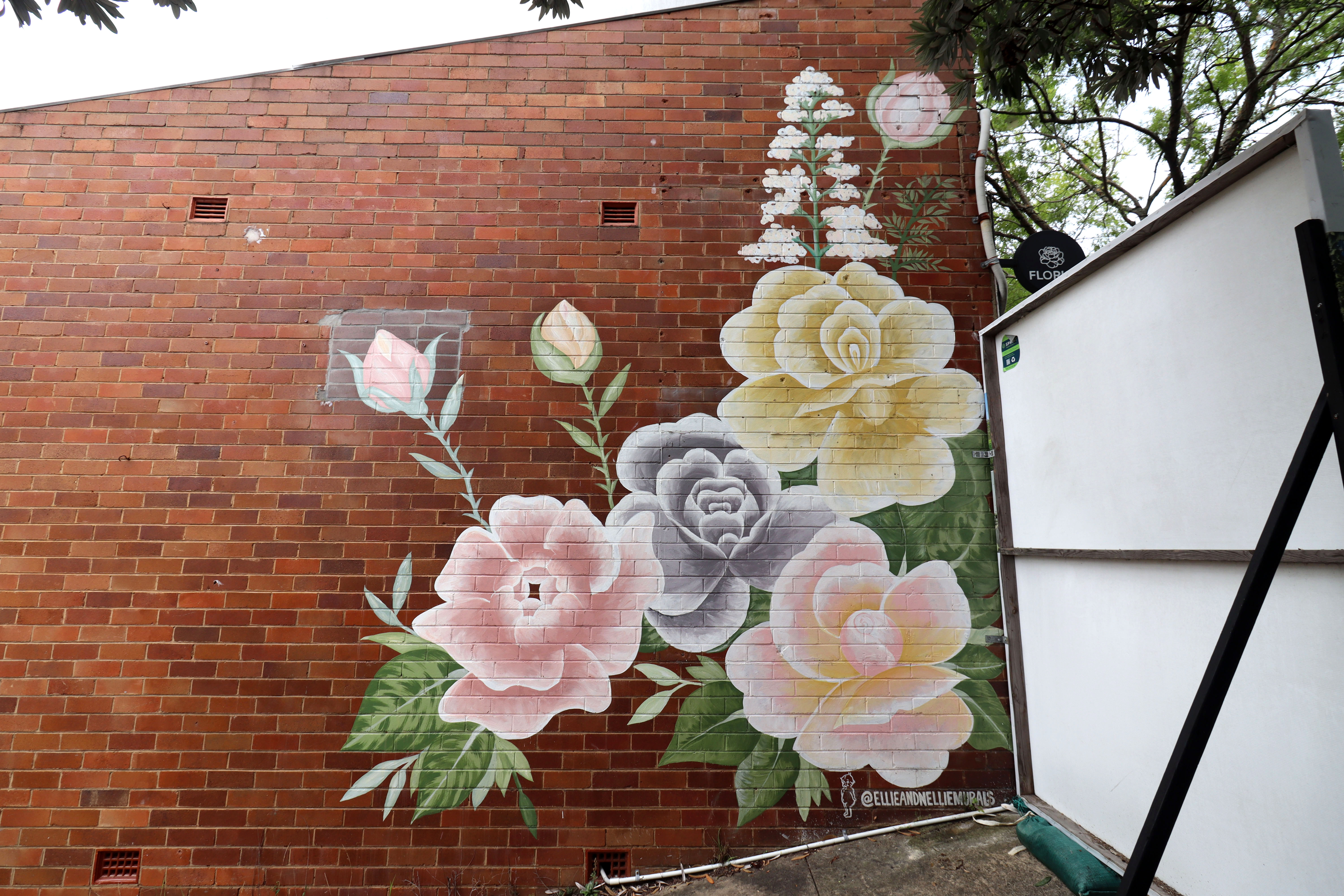 Fleur My Darling by El Paints | Street Art NSW