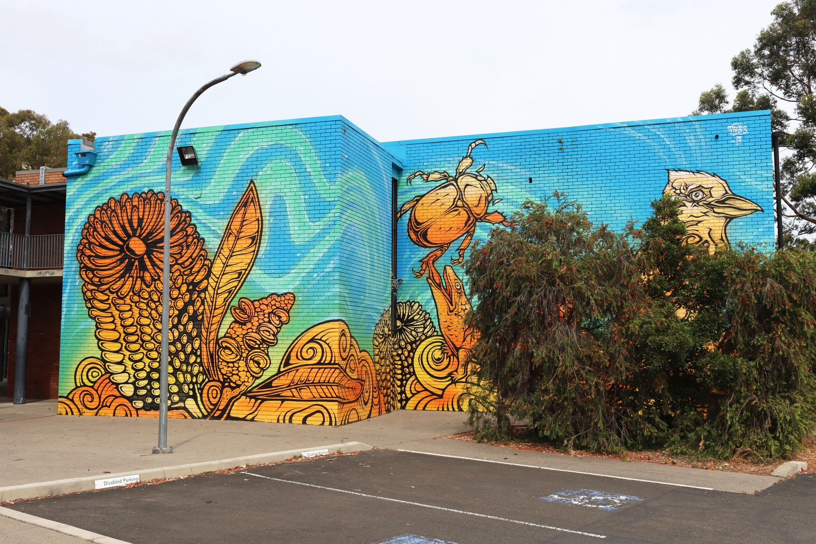 Untitled by Phibs | Street Art NSW