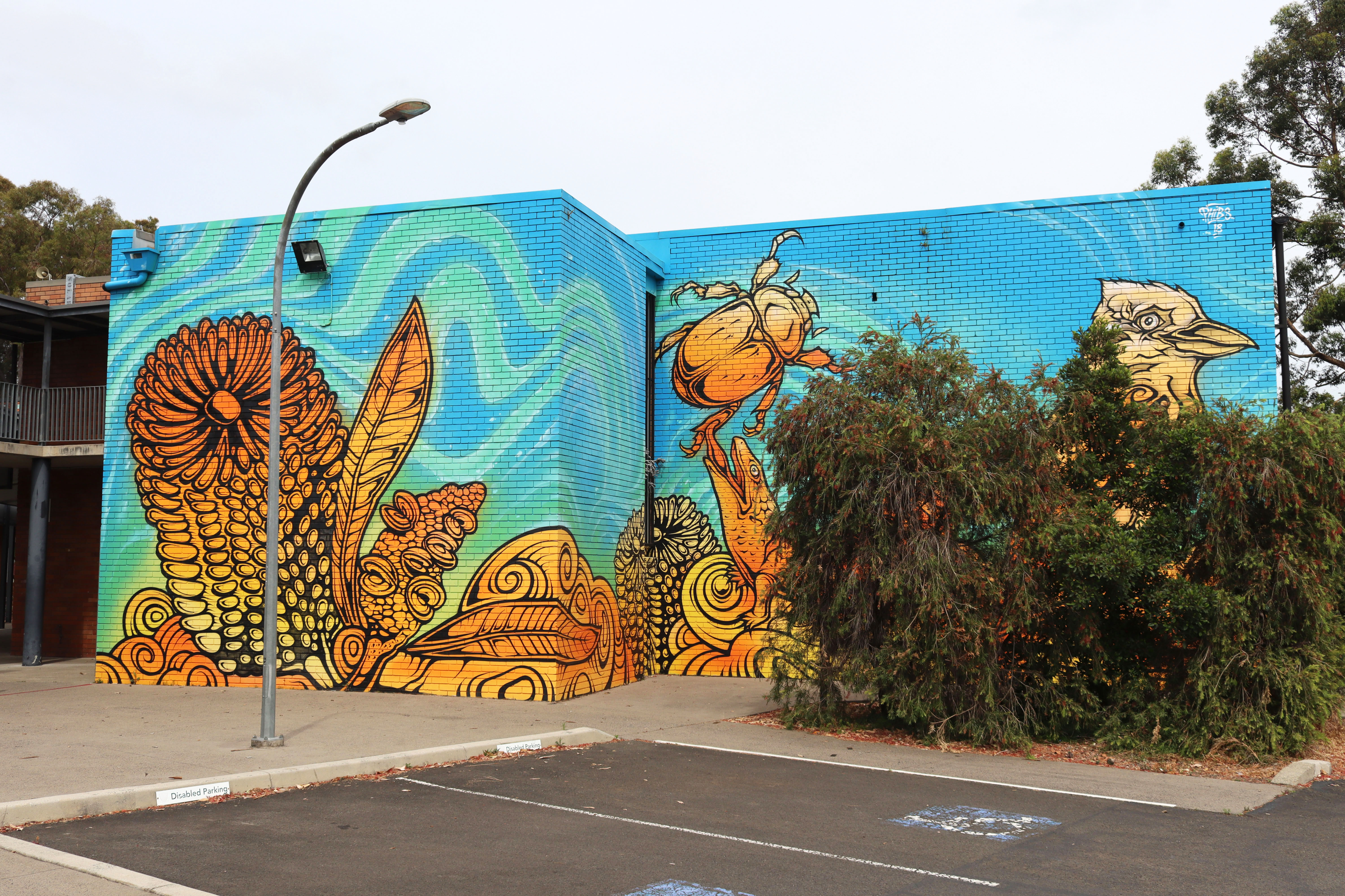 Untitled by Phibs | Street Art NSW
