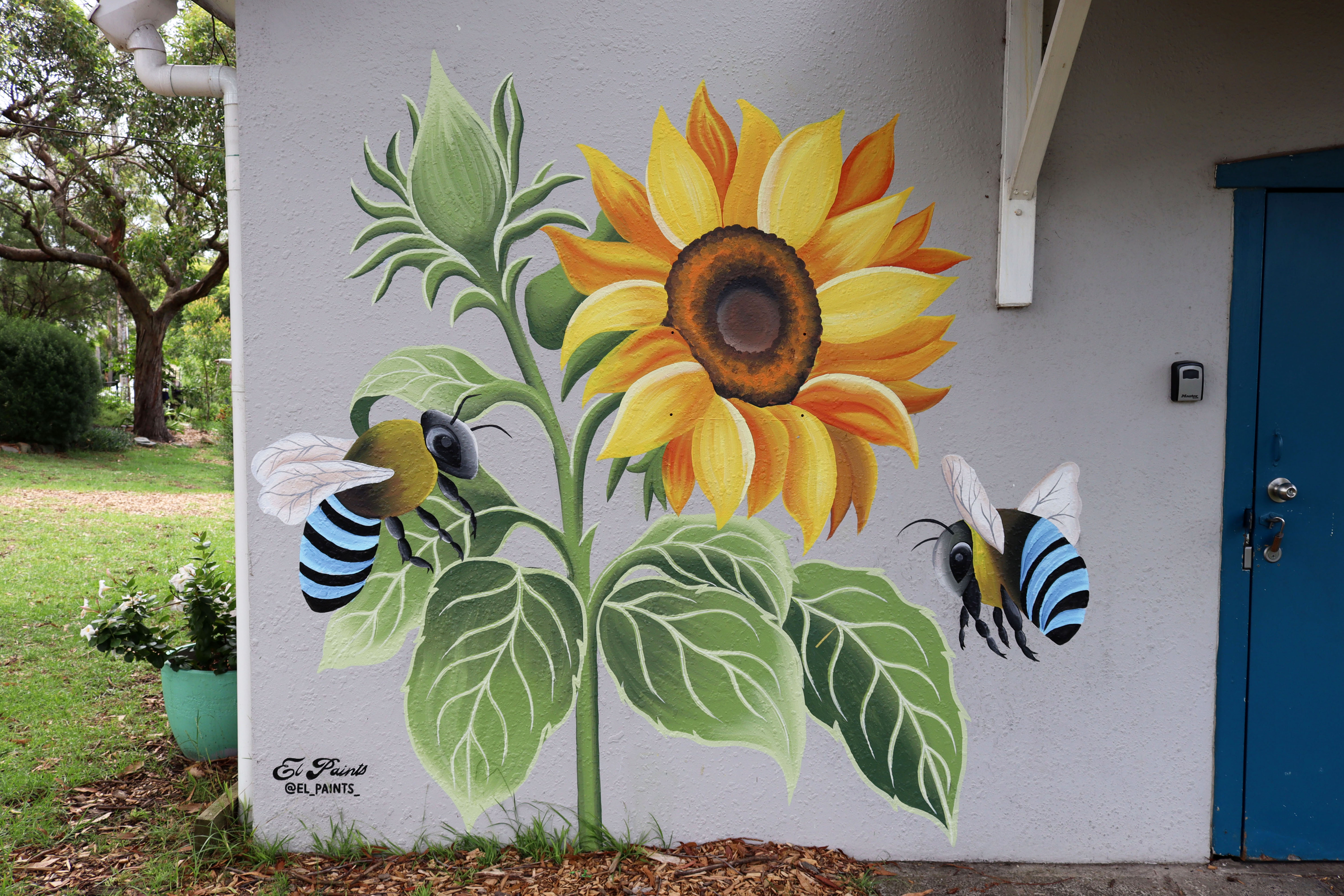 Untitled by El Paints | Street Art NSW