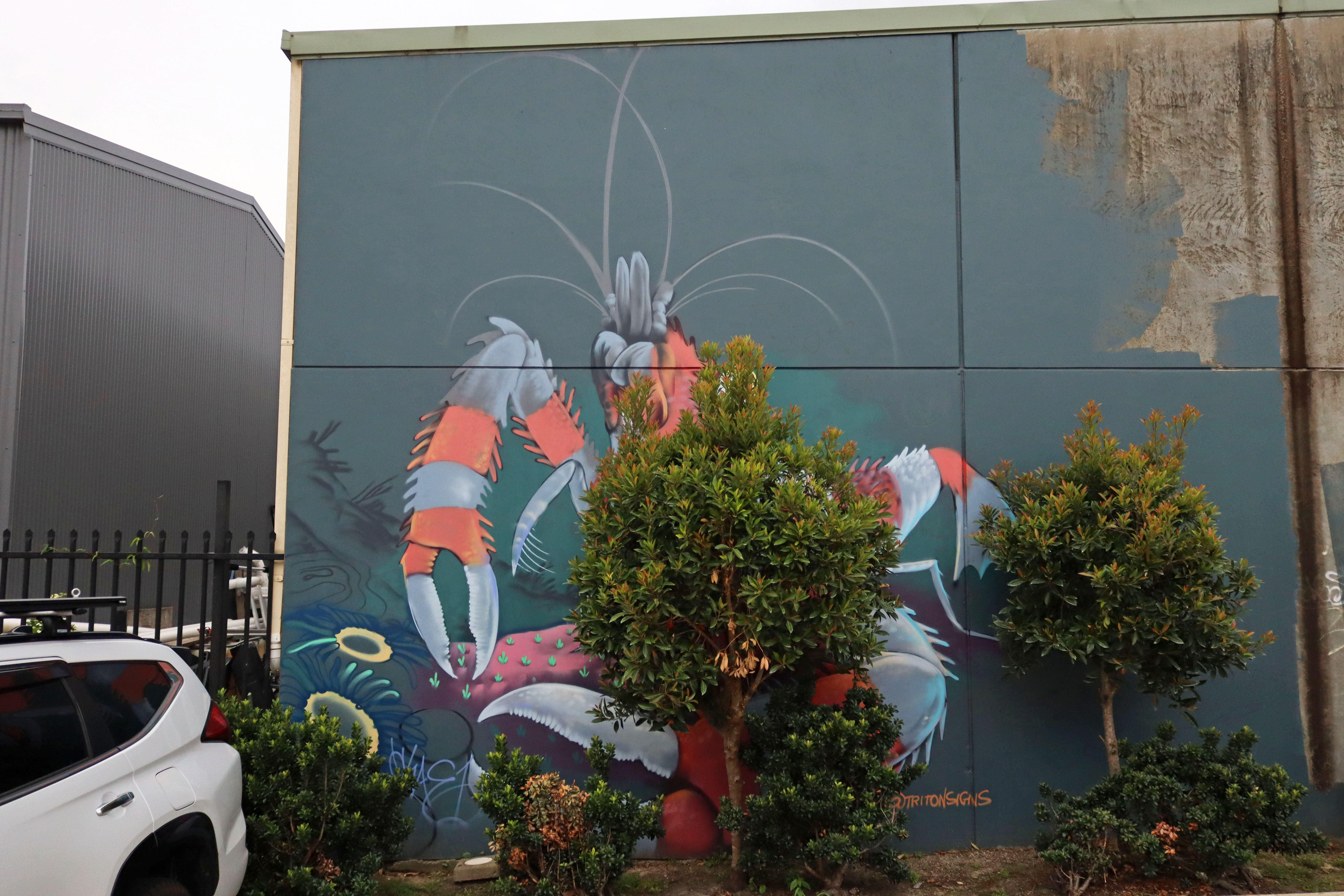 Untitled by Okae One | Street Art NSW