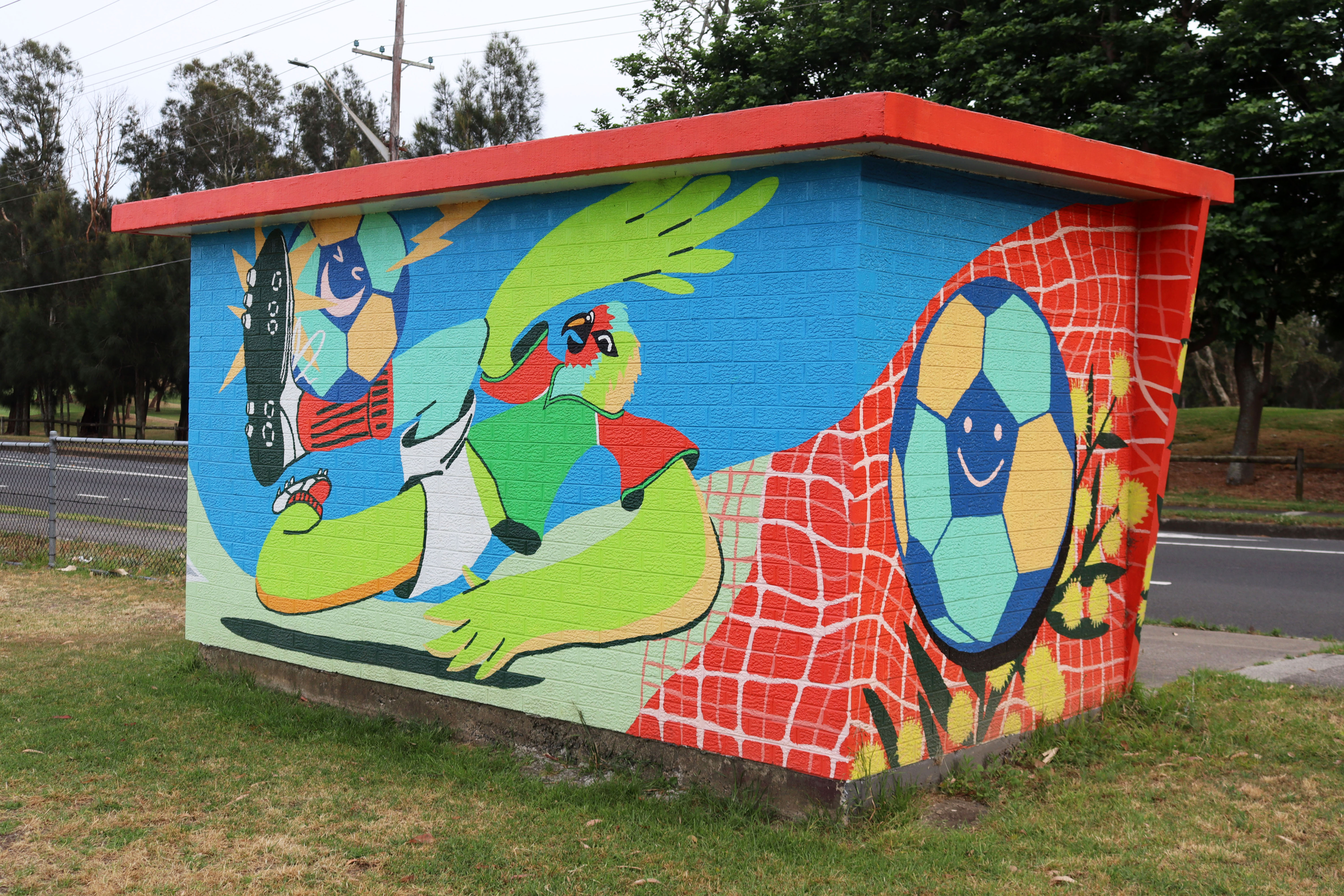 Goal by Joel Cameron | Street Art NSW