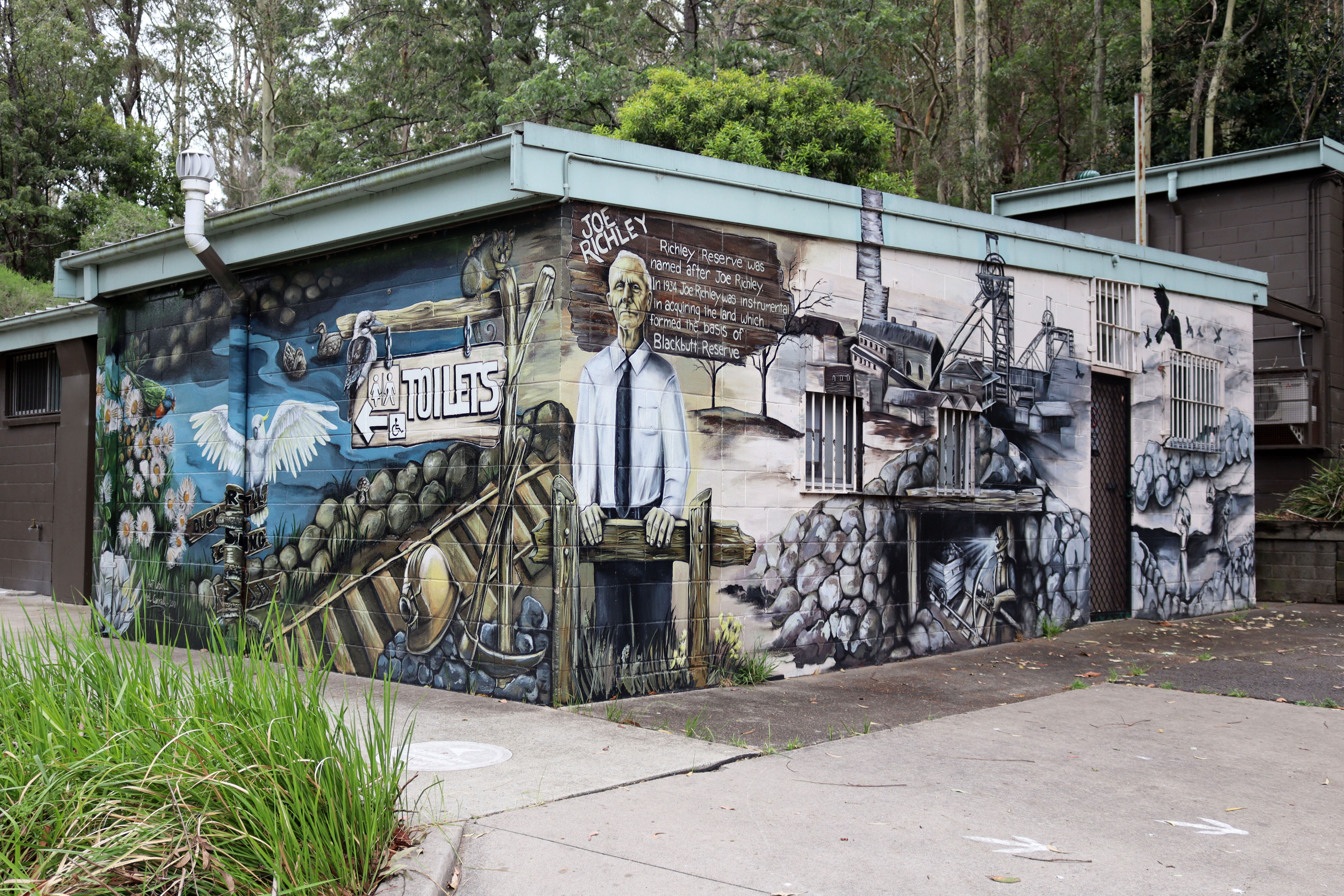 Richleys Reserve Mural by Mel Carrall | Street Art NSW