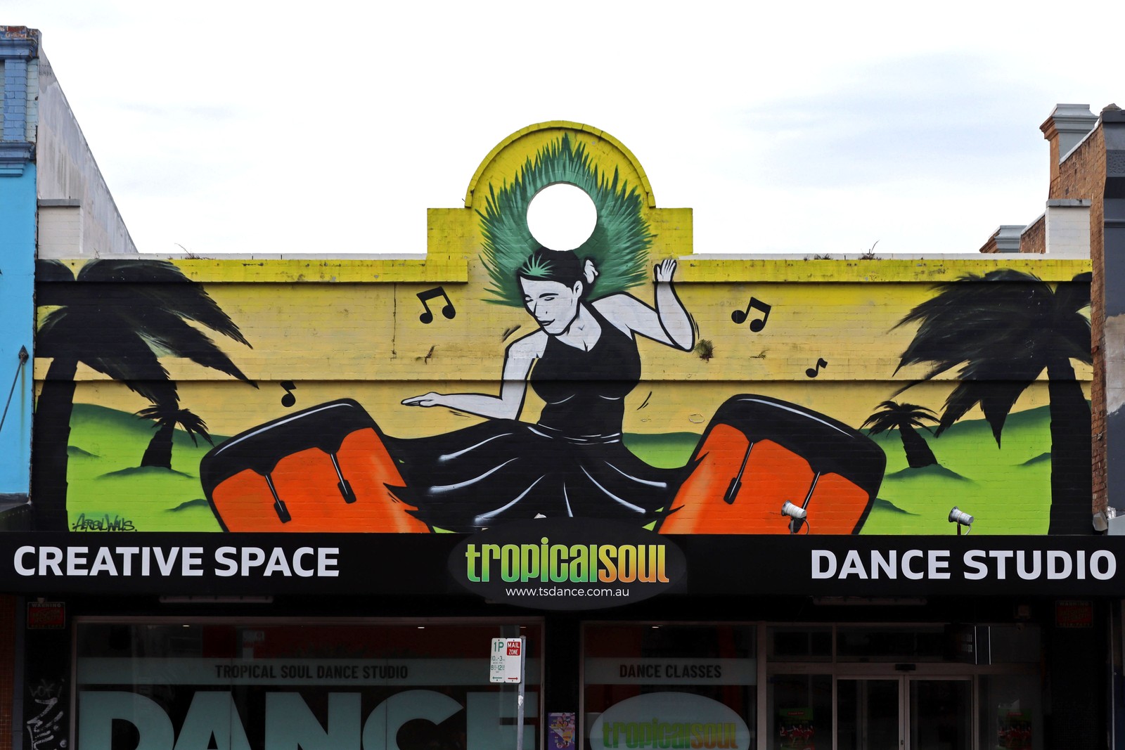 Tropical Soul by Aerosol Walls | Street Art NSW