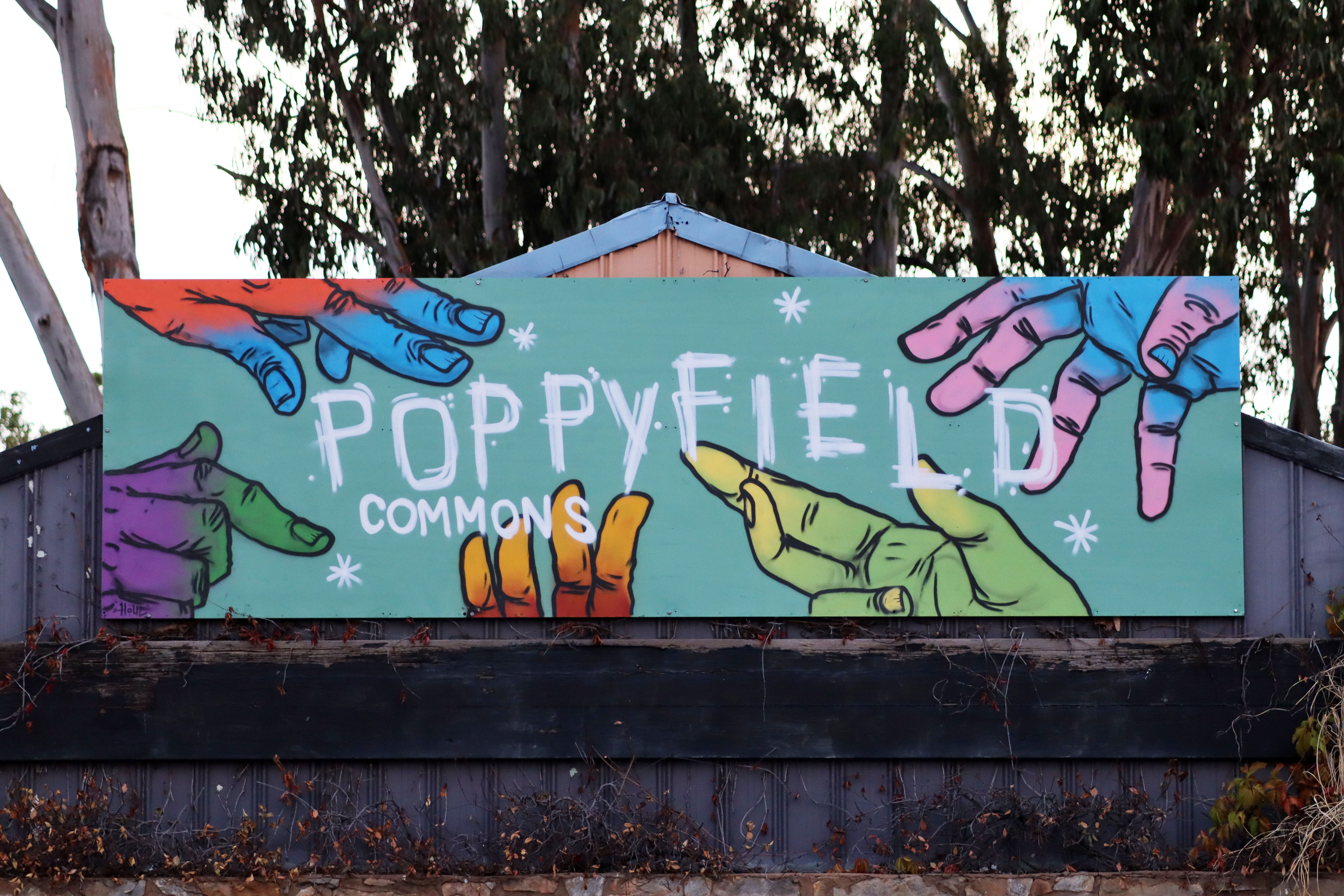 Poppyfield Commons by Houl | Street Art NSW