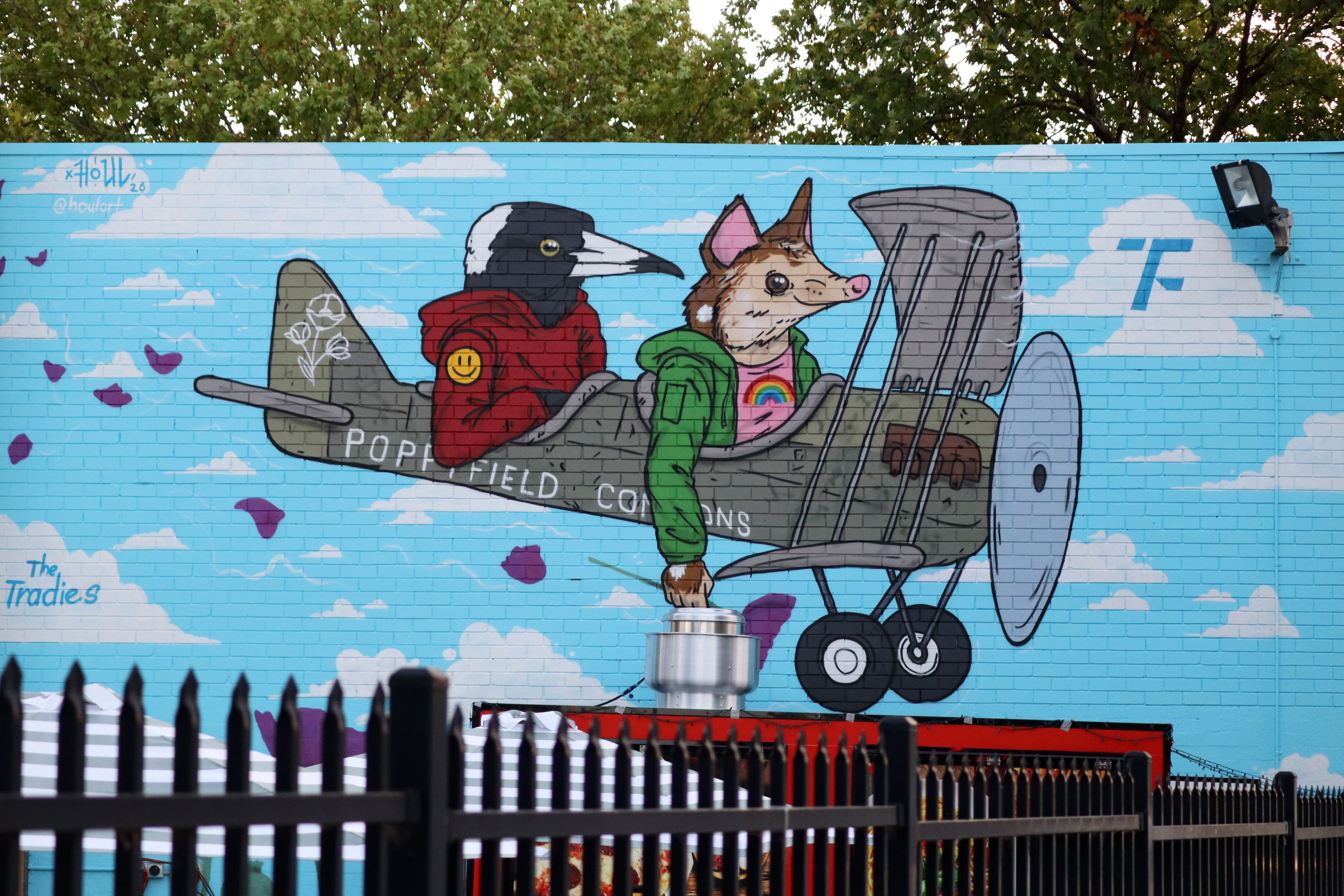 Poppyfield Commons by Houl | Street Art NSW