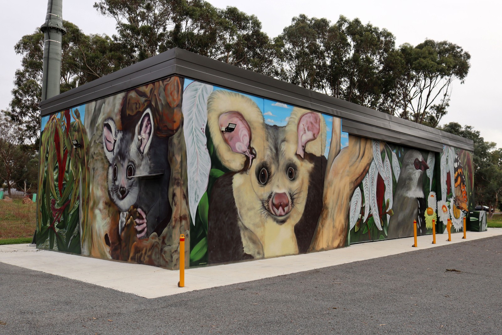 Untitled by GraffikPaint | Street Art NSW