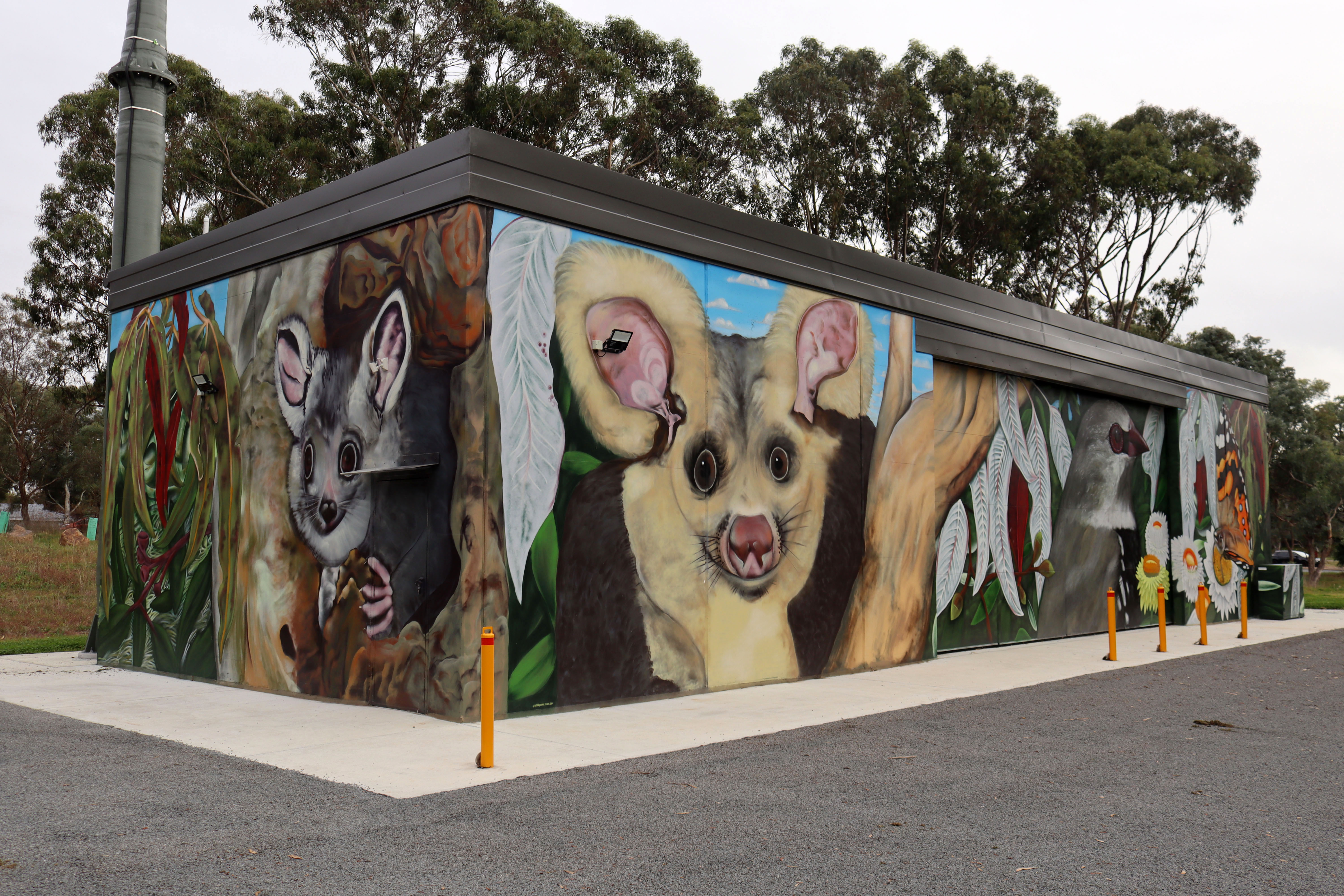 Untitled by GraffikPaint | Street Art NSW